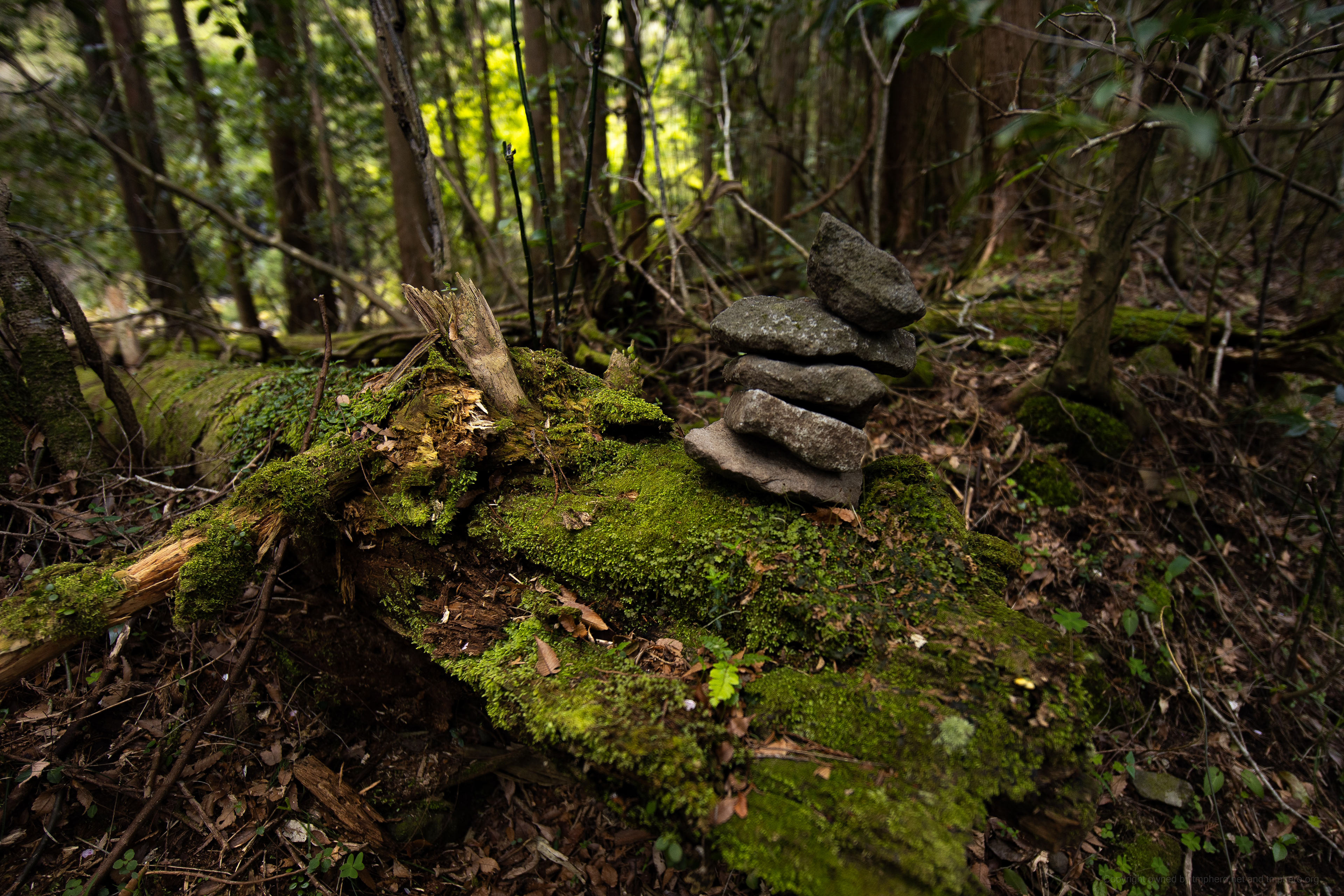 Canon EOS R +  LAOWA 15mm F2 Zero-D, ISO100 F2 1/320 0EV