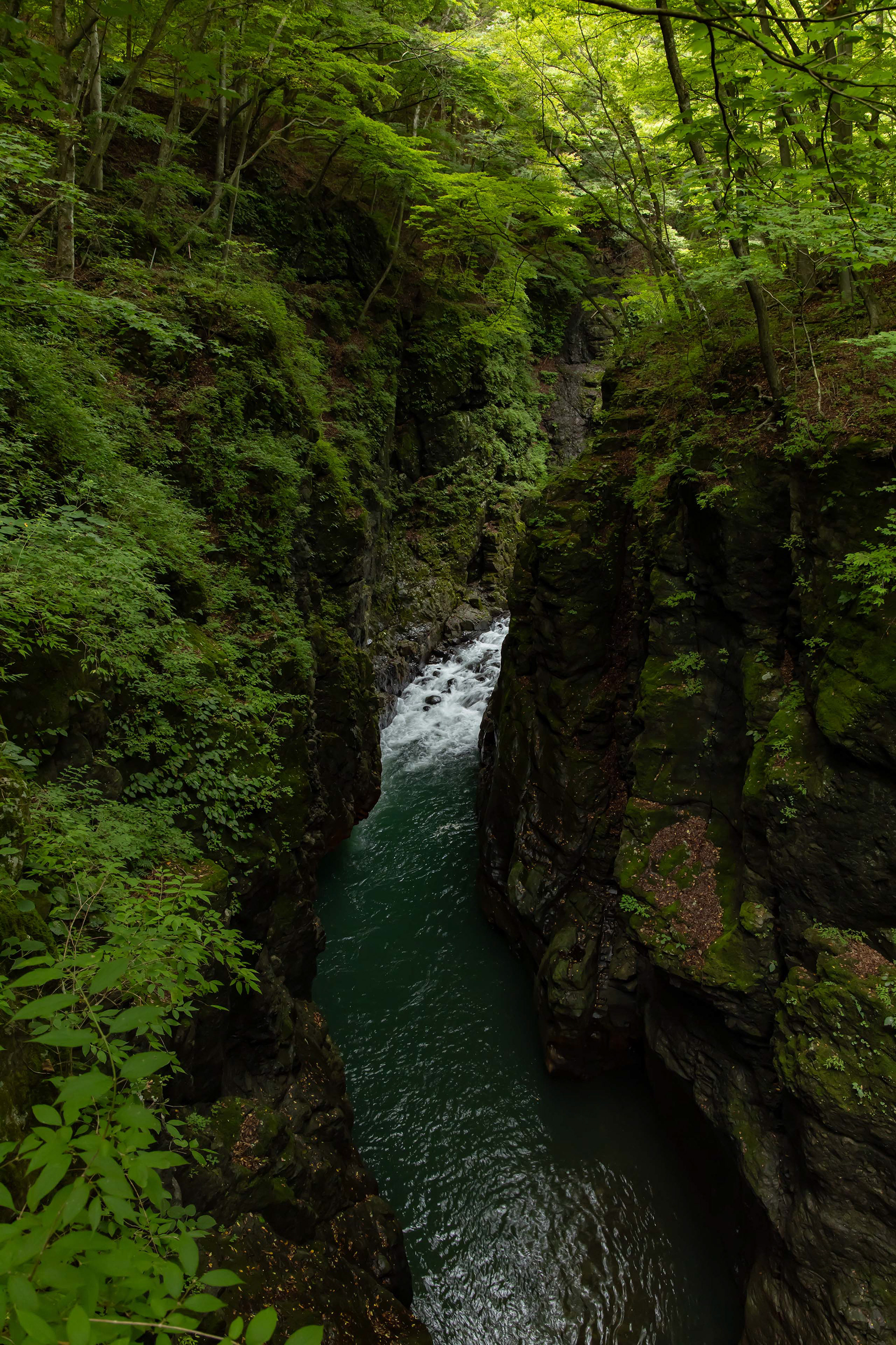 Canon R + RF24-105mm, ISO1600 F5.6 1/40 -0.67EV