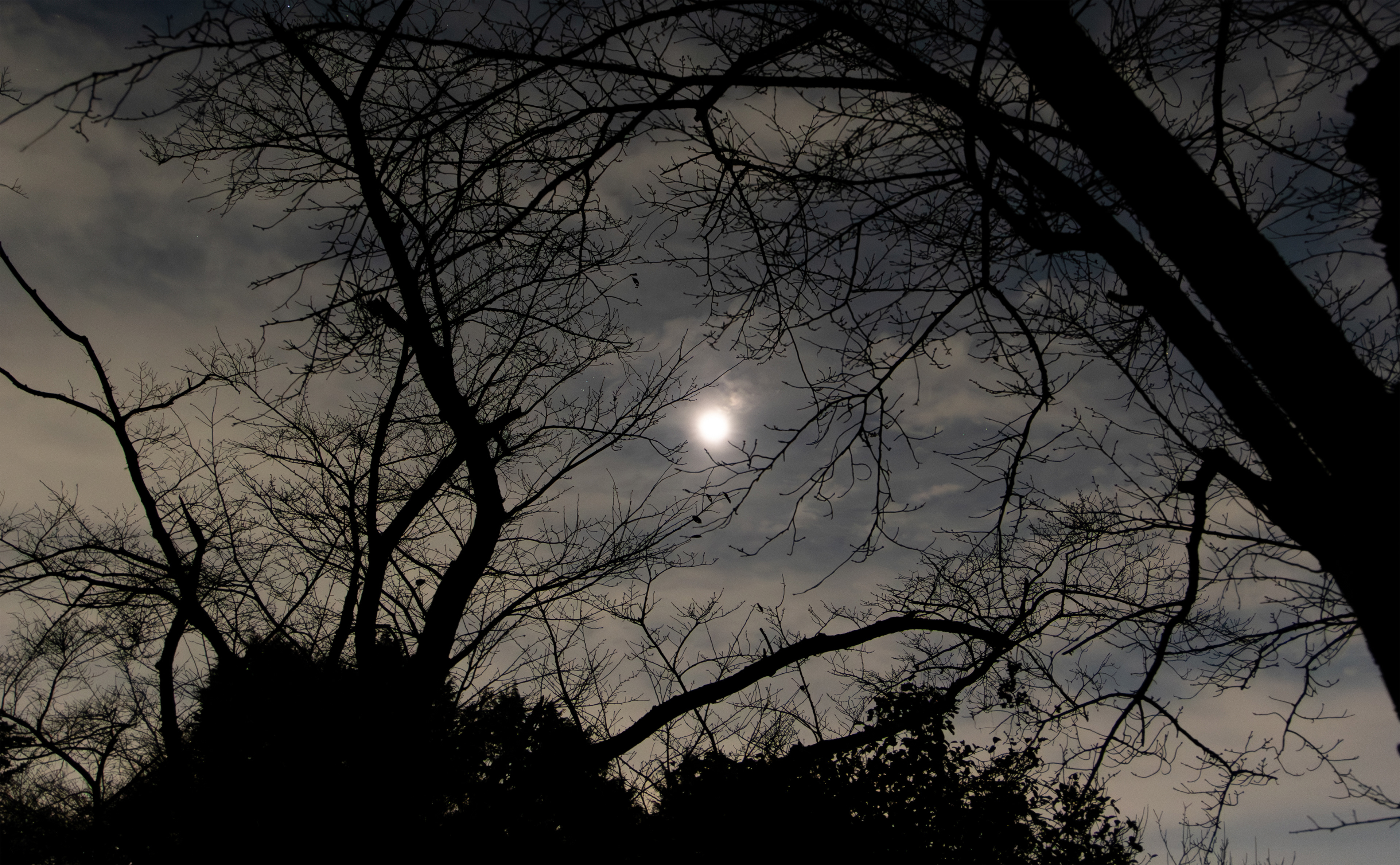 Canon EOS R +  RF24-105mm, ISO2000 F4 1sec