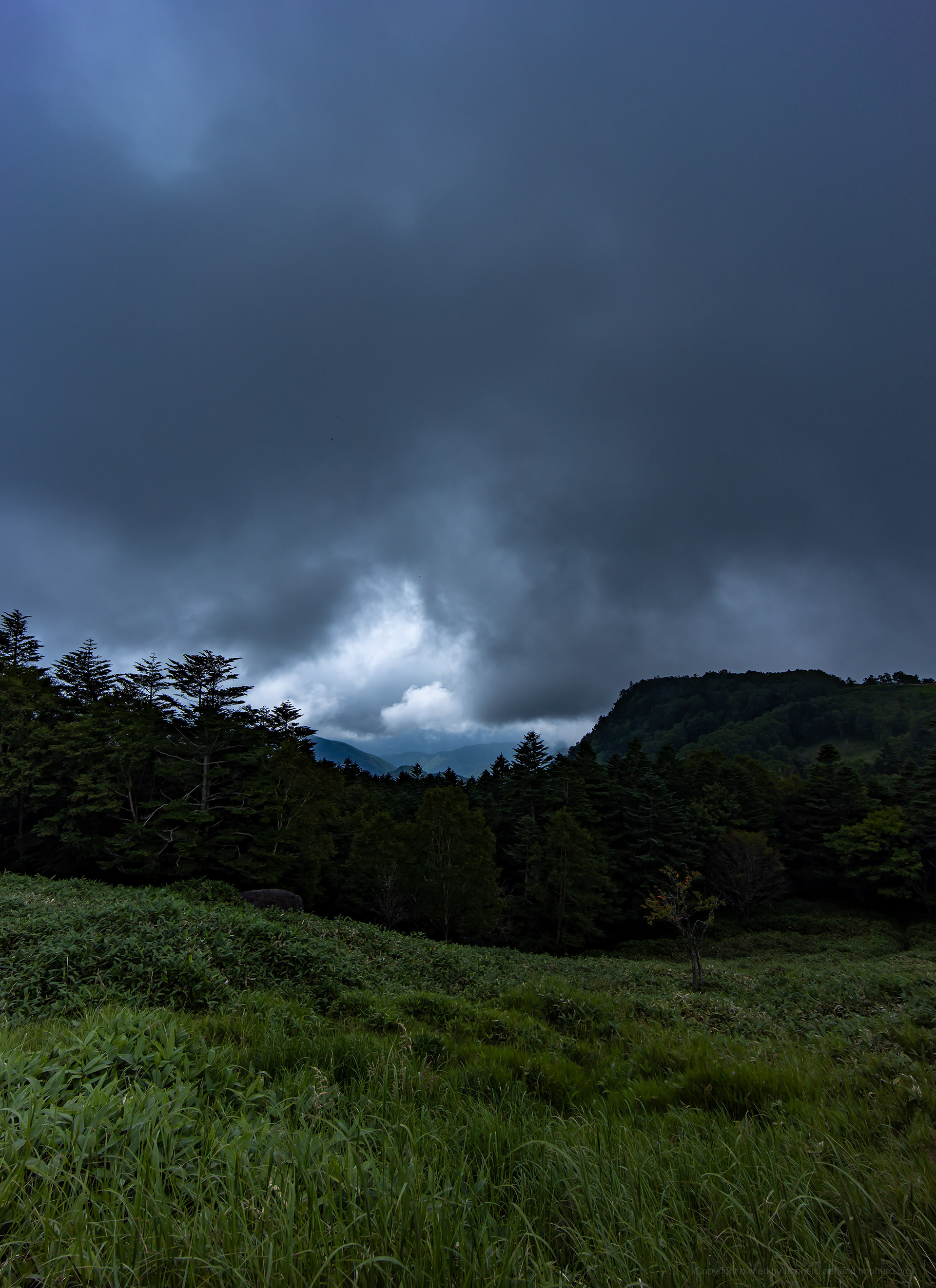 Canon R + LAOWA 15mm F2 Zero-D, ISO100 1/800 0EV