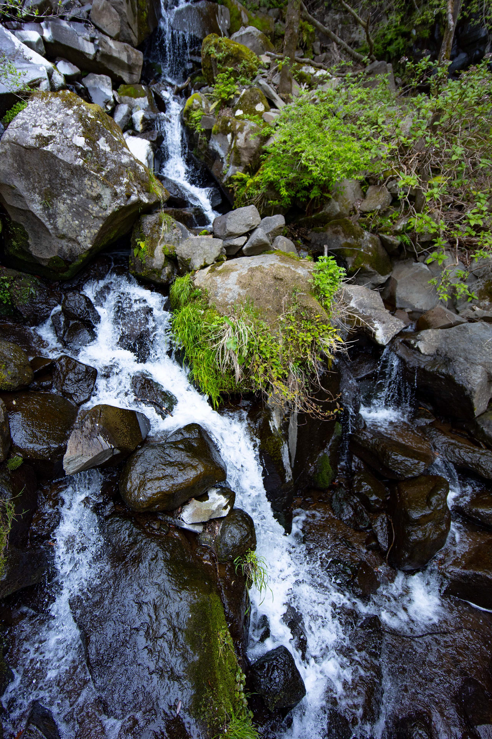 Canon EOS R +  LAOWA 15mm F2 Zero-D, ISO100 F4 1/640 0EV