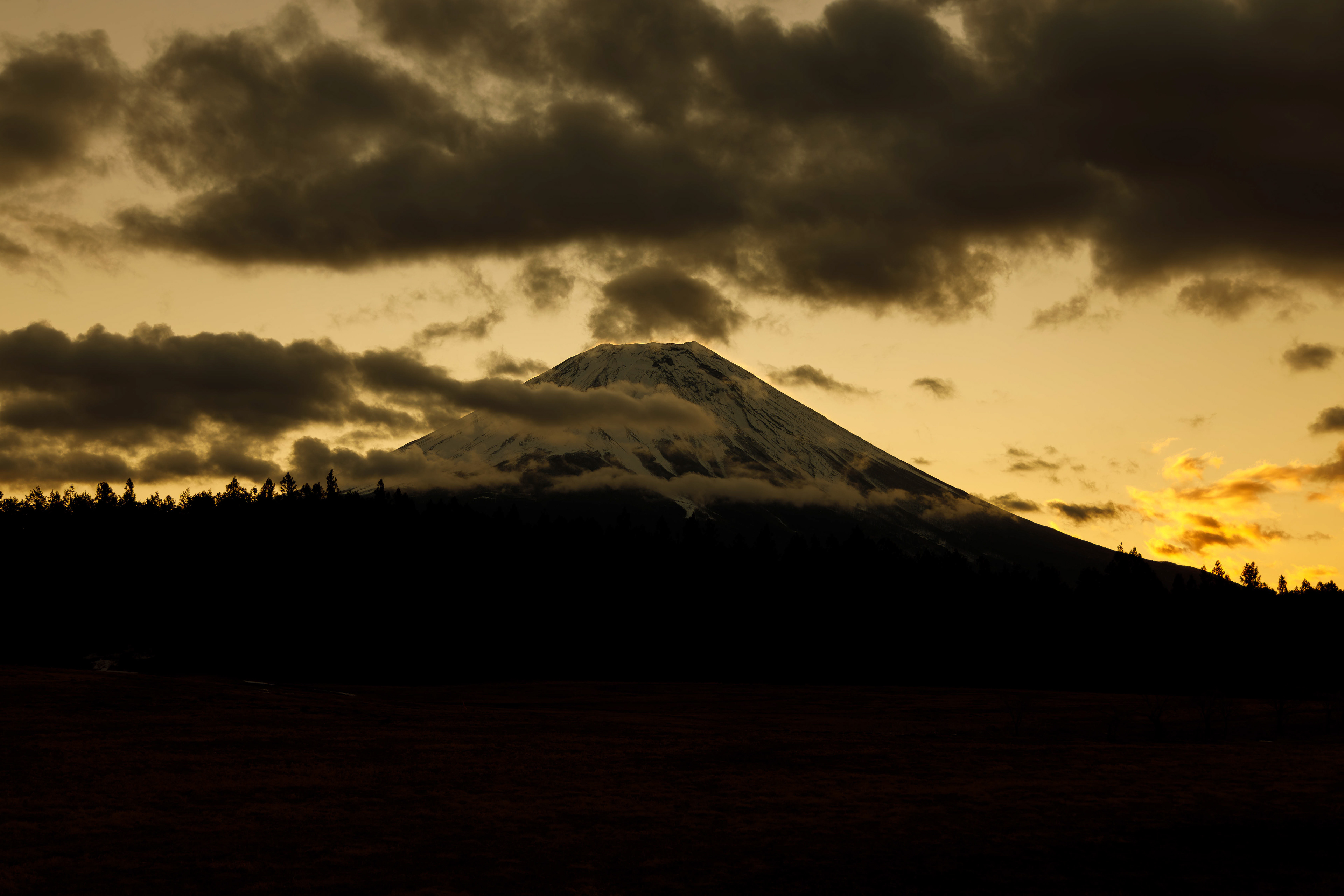 Canon R + RF24-105mm, ISO100 F4.5 1/400 -1EV