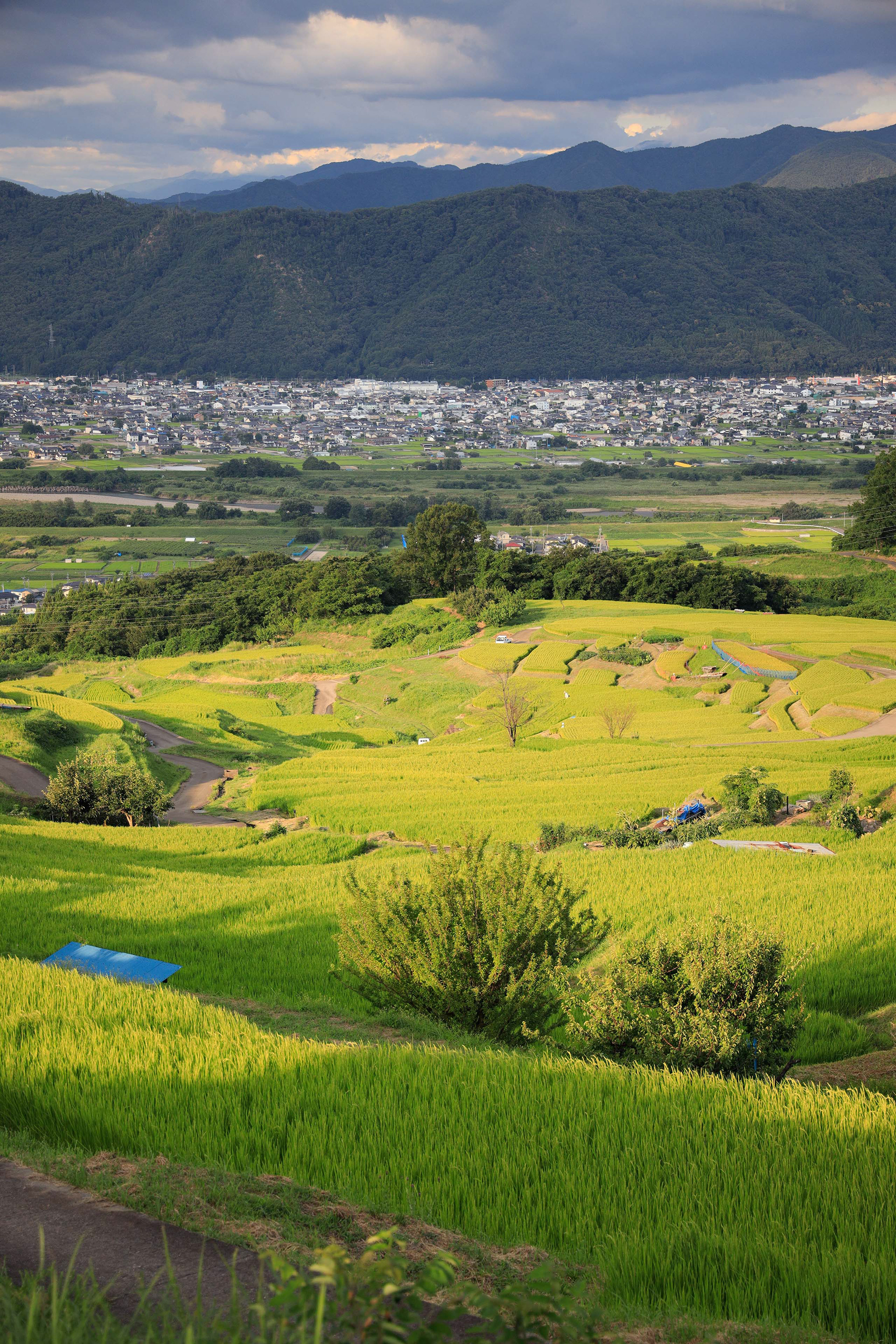 Canon R + RF24-105mm, ISO400 F4 1/500 0EV