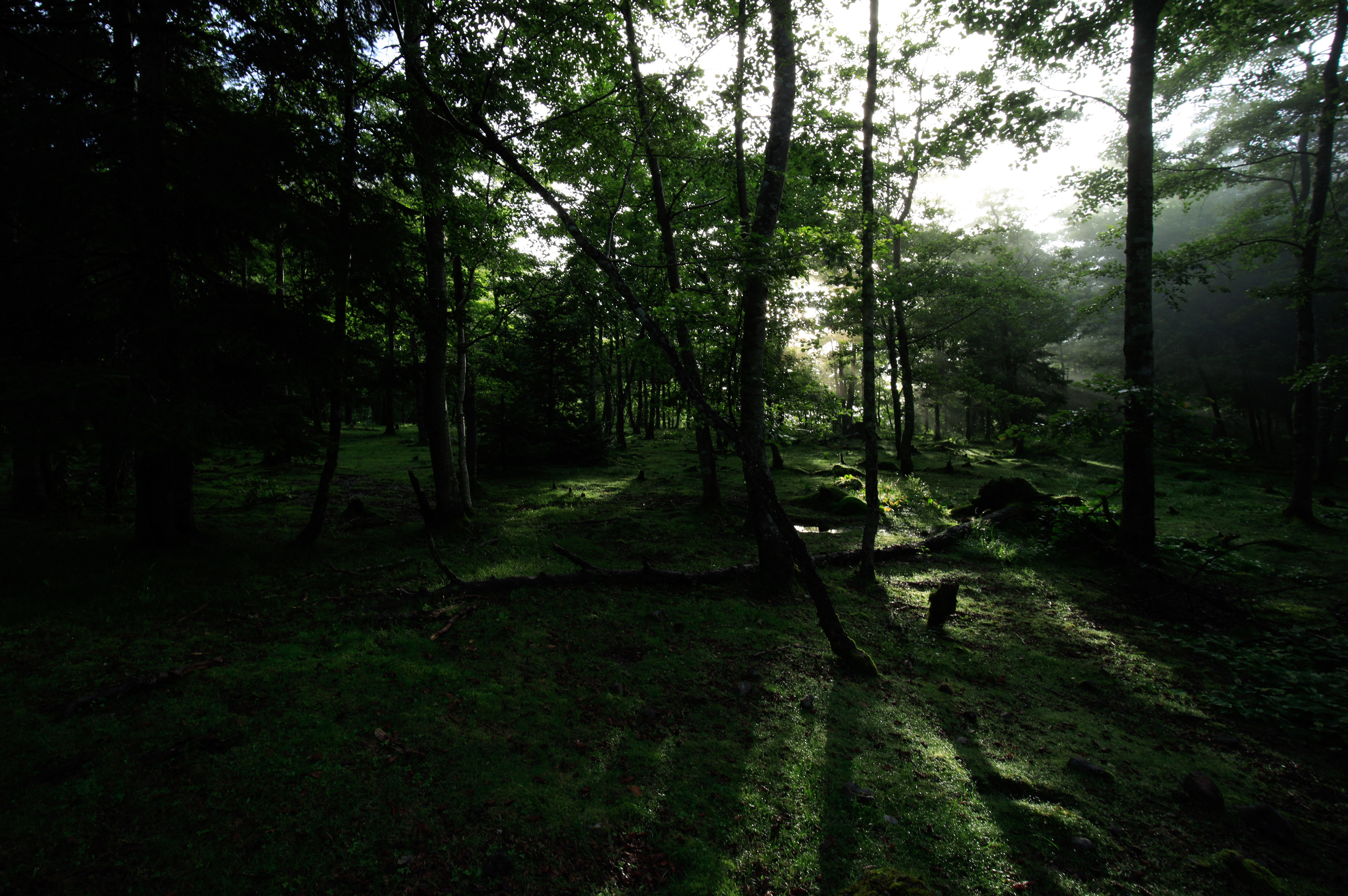Canon EOS R +  LAOWA 15mm F2 Zero-D, ISO100 1/6 0EV