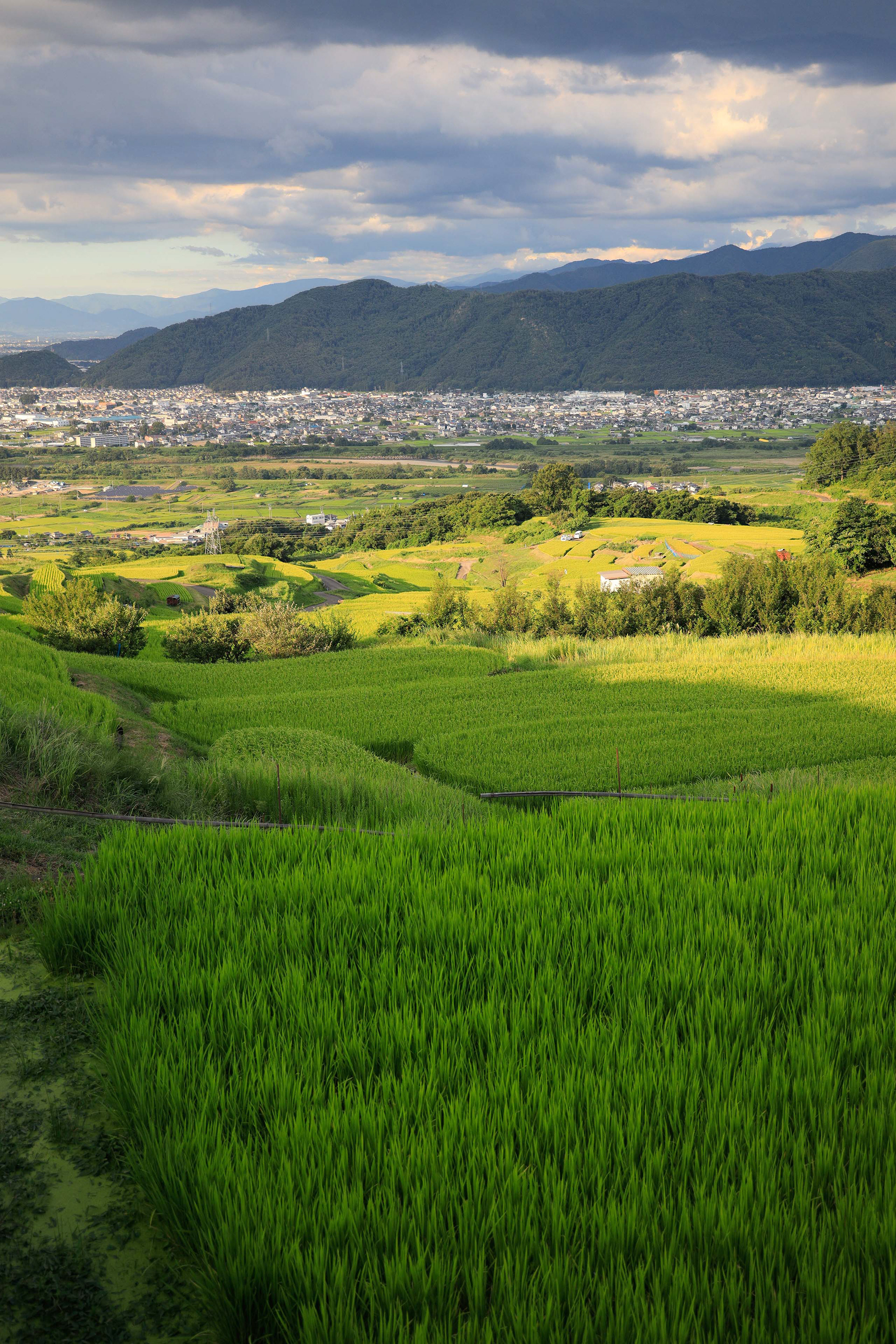 Canon R + RF24-105mm, ISO400 F4.5 1/400 0EV