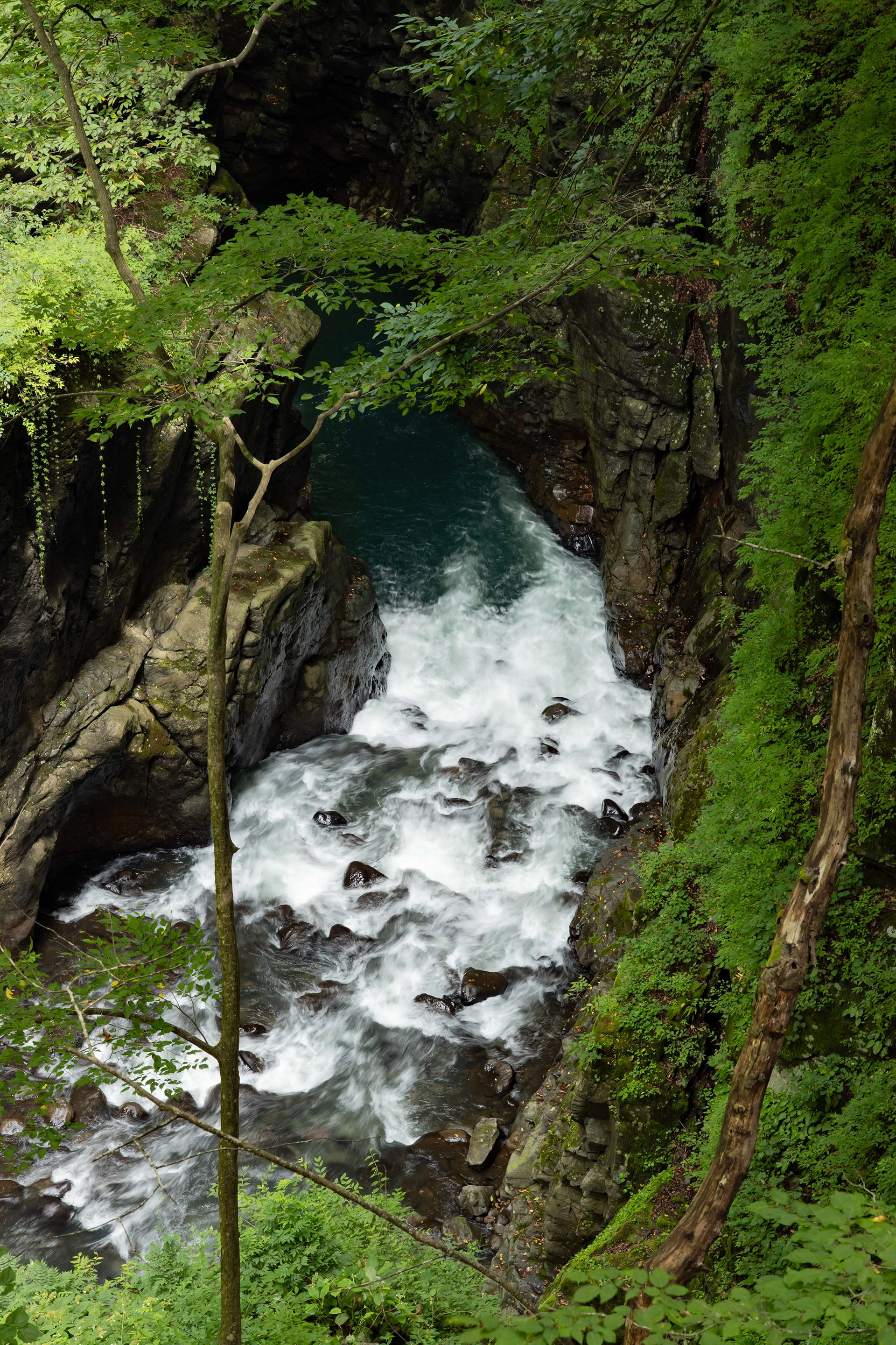 Canon R + RF24-105mm, ISO400 F18 1/2 0.67EV
