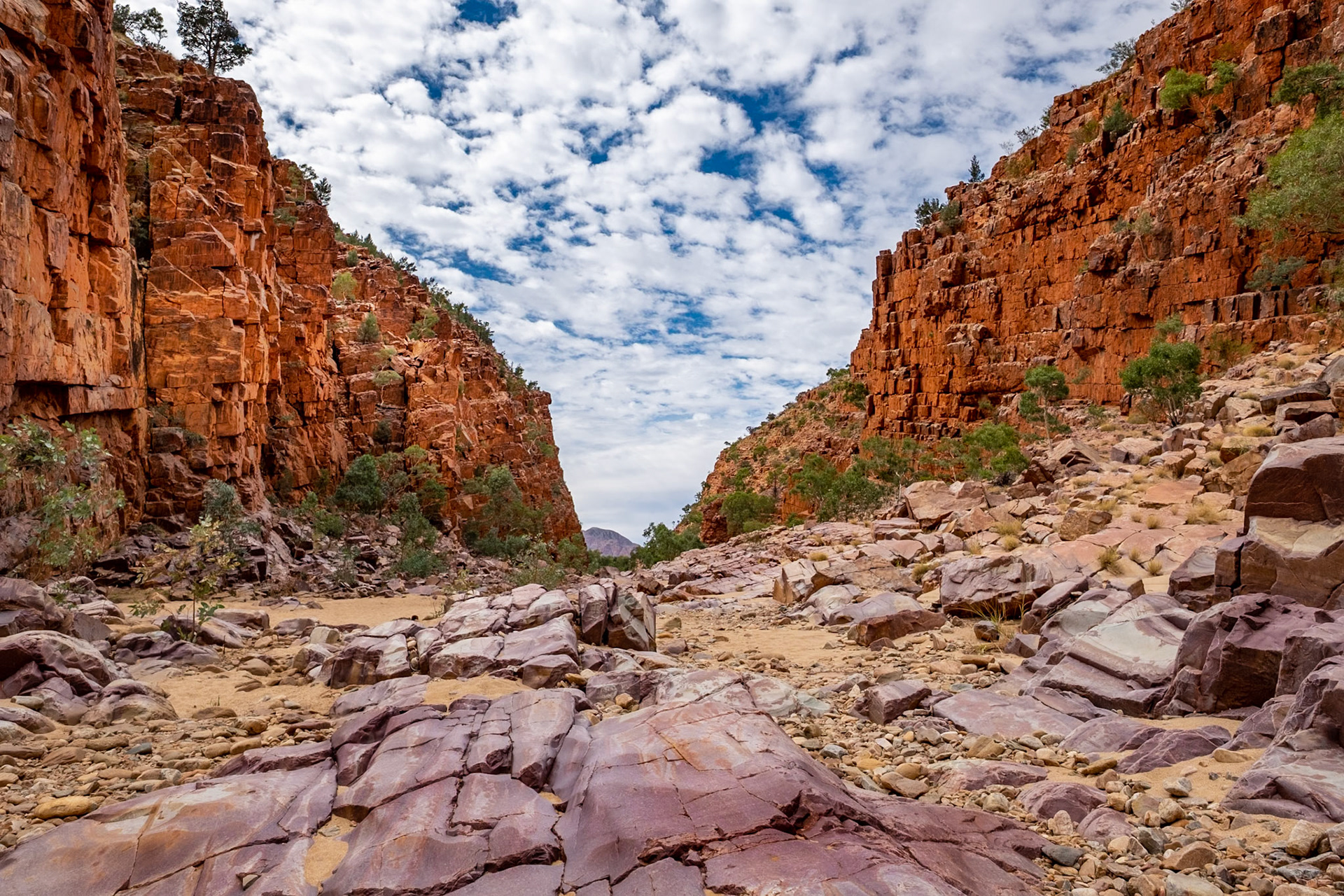 The Pound Walk - Ormiston Gorge NT