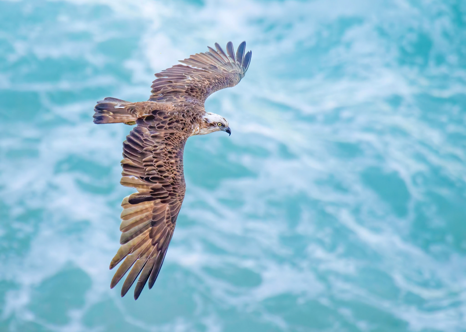 Stradbroke Island