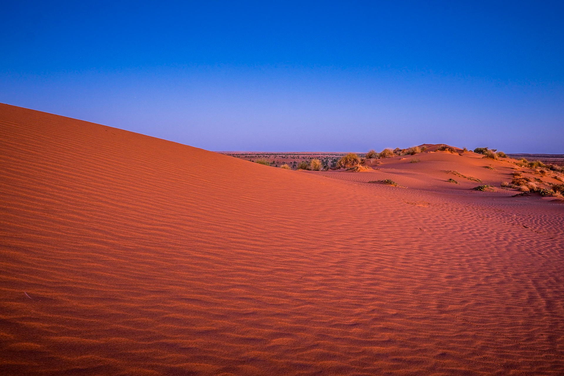 BIg Red Sand Dune 1