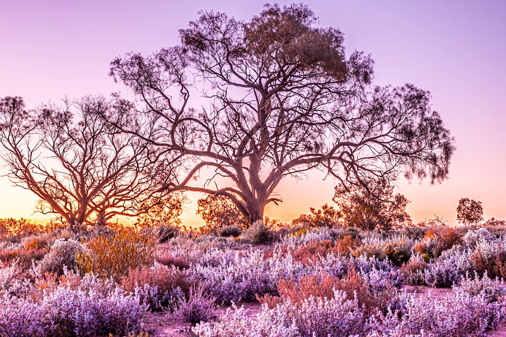 Paroo Sunset