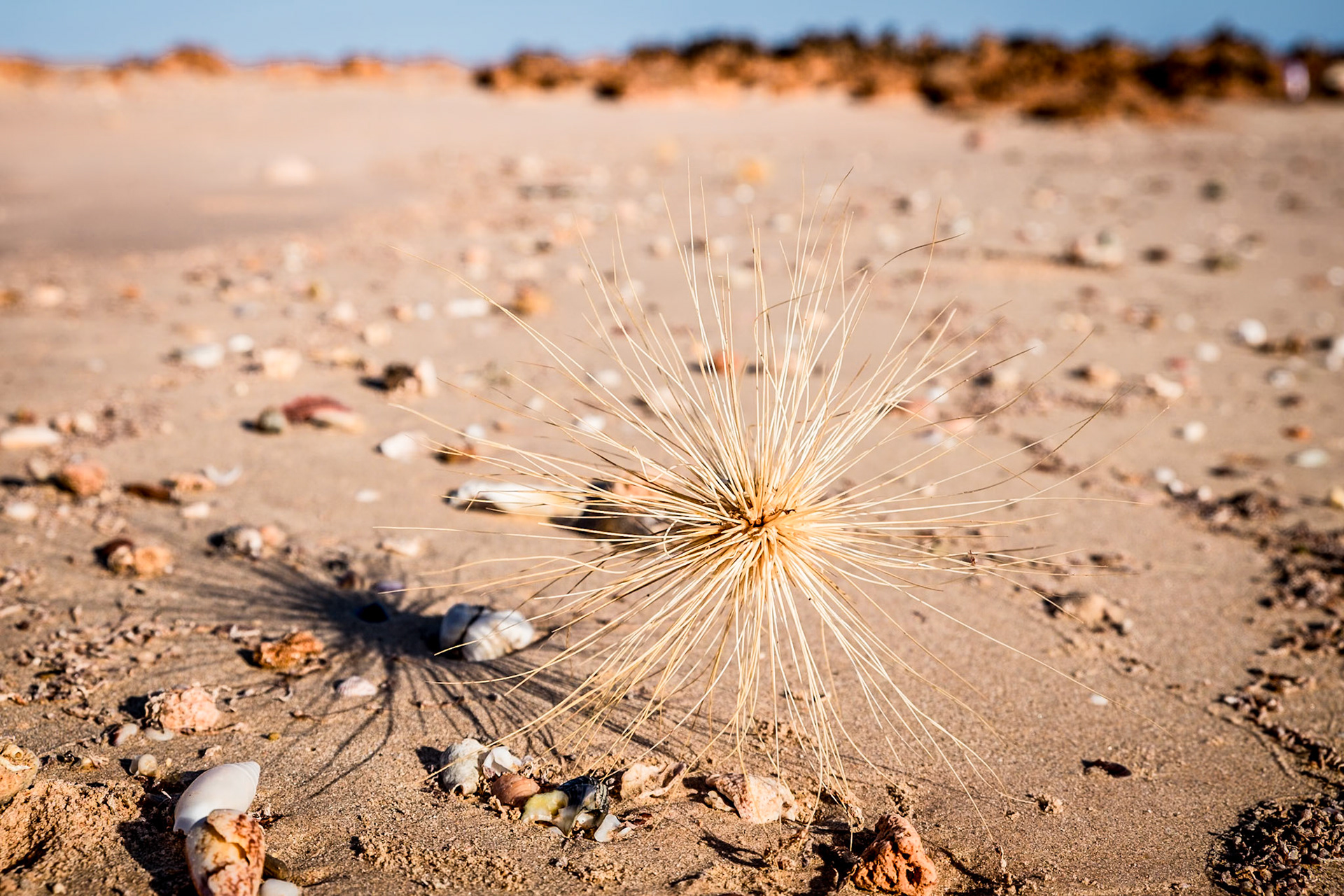 Dampier Peninsula NT