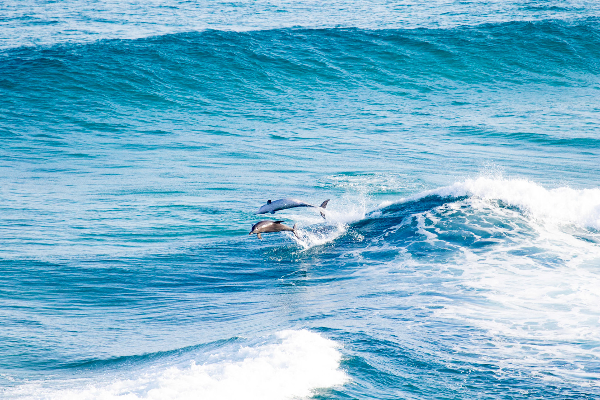 Sunshine Coast Beaches