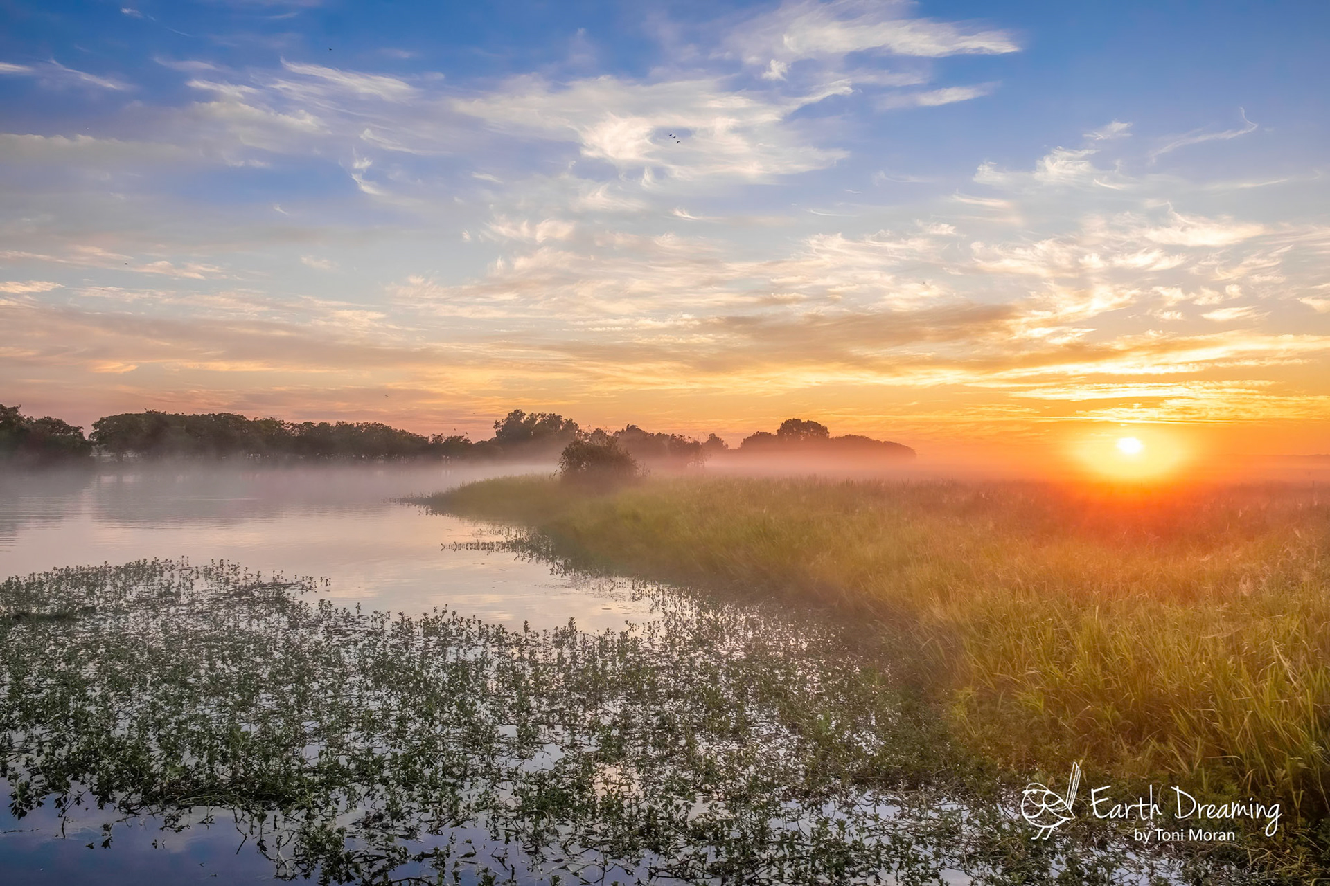 The sun Pokes up at Yellow Billabong, Kakadu, NT