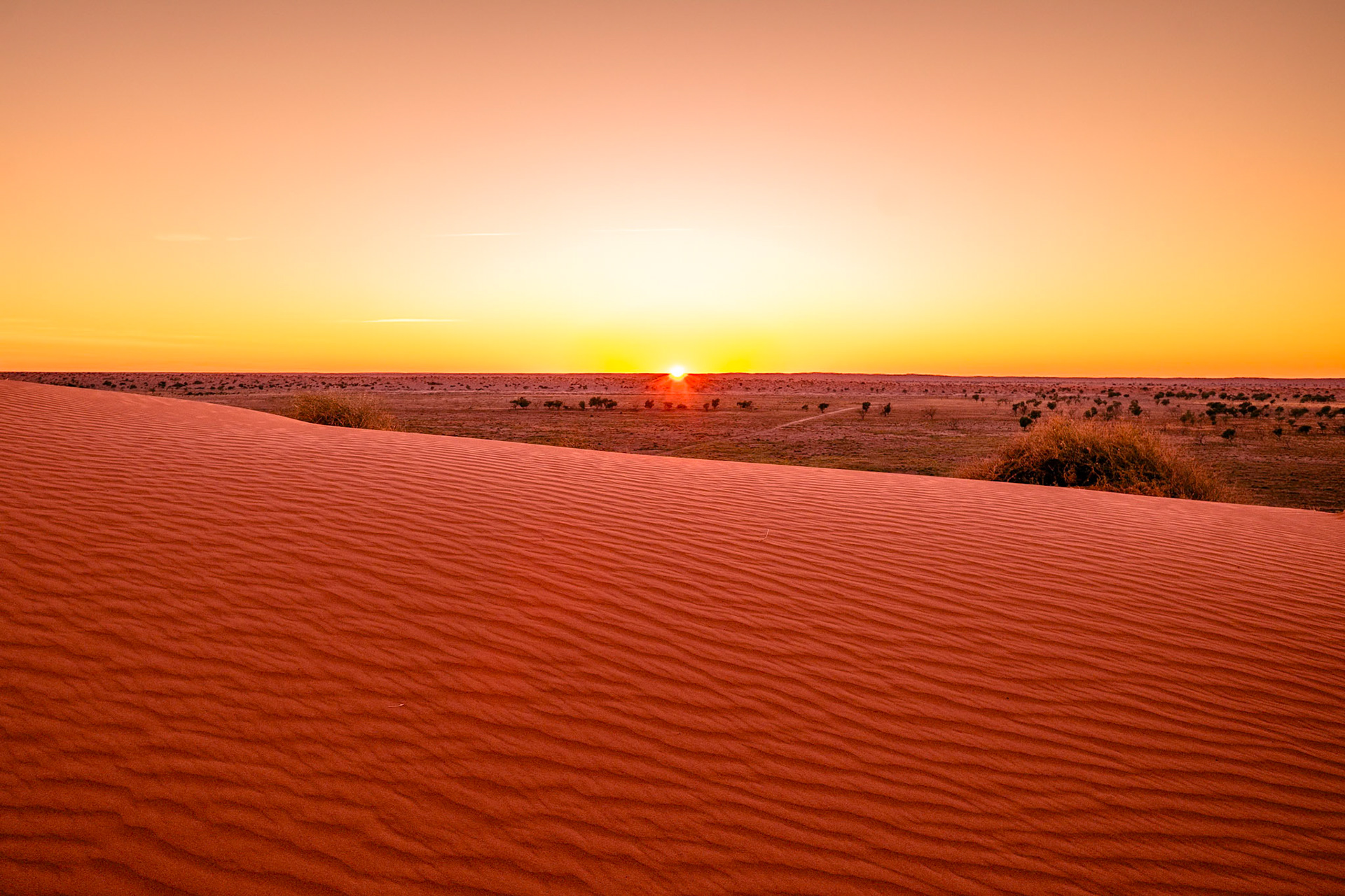 Big Red Sunrise