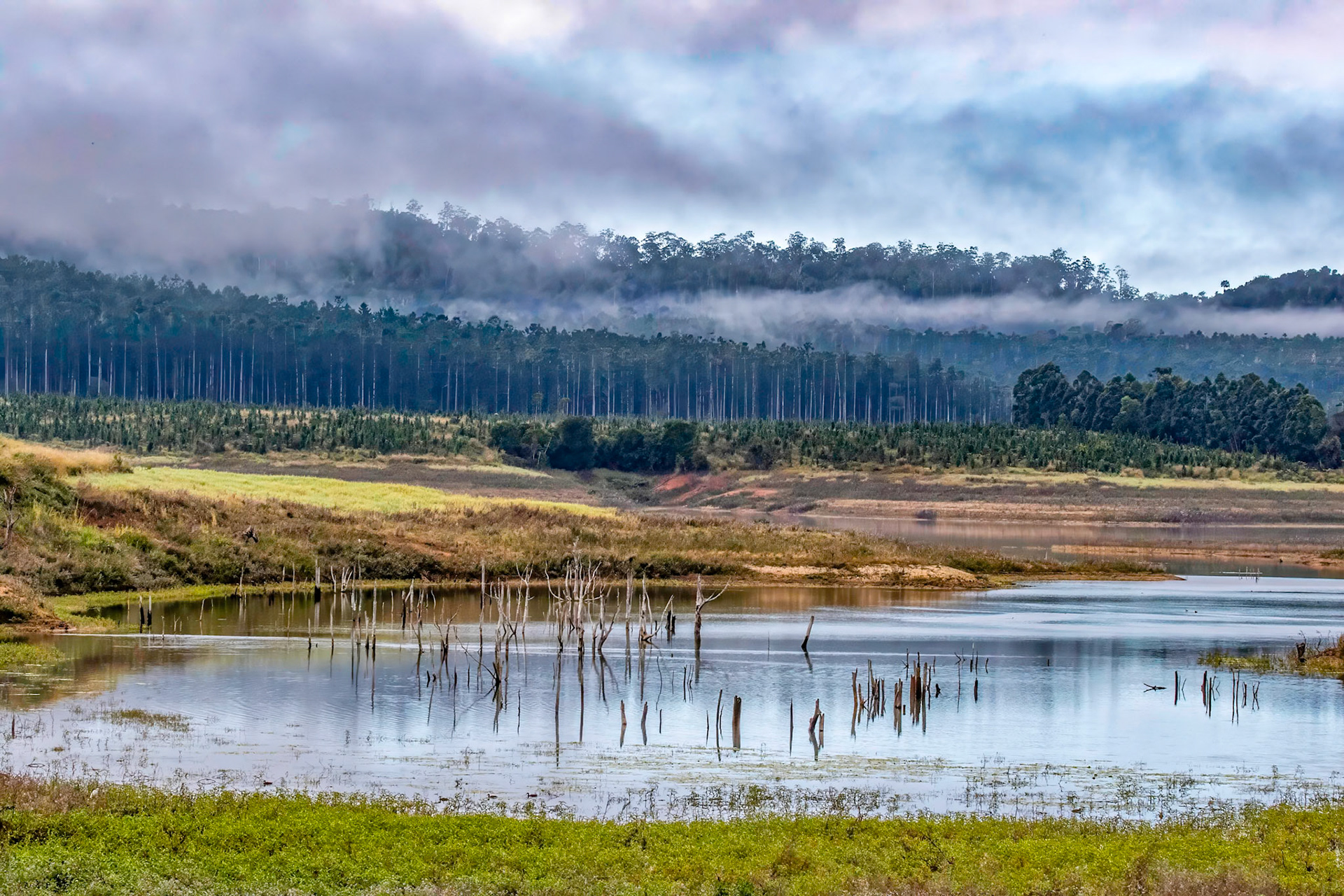 Lake Tinaroo