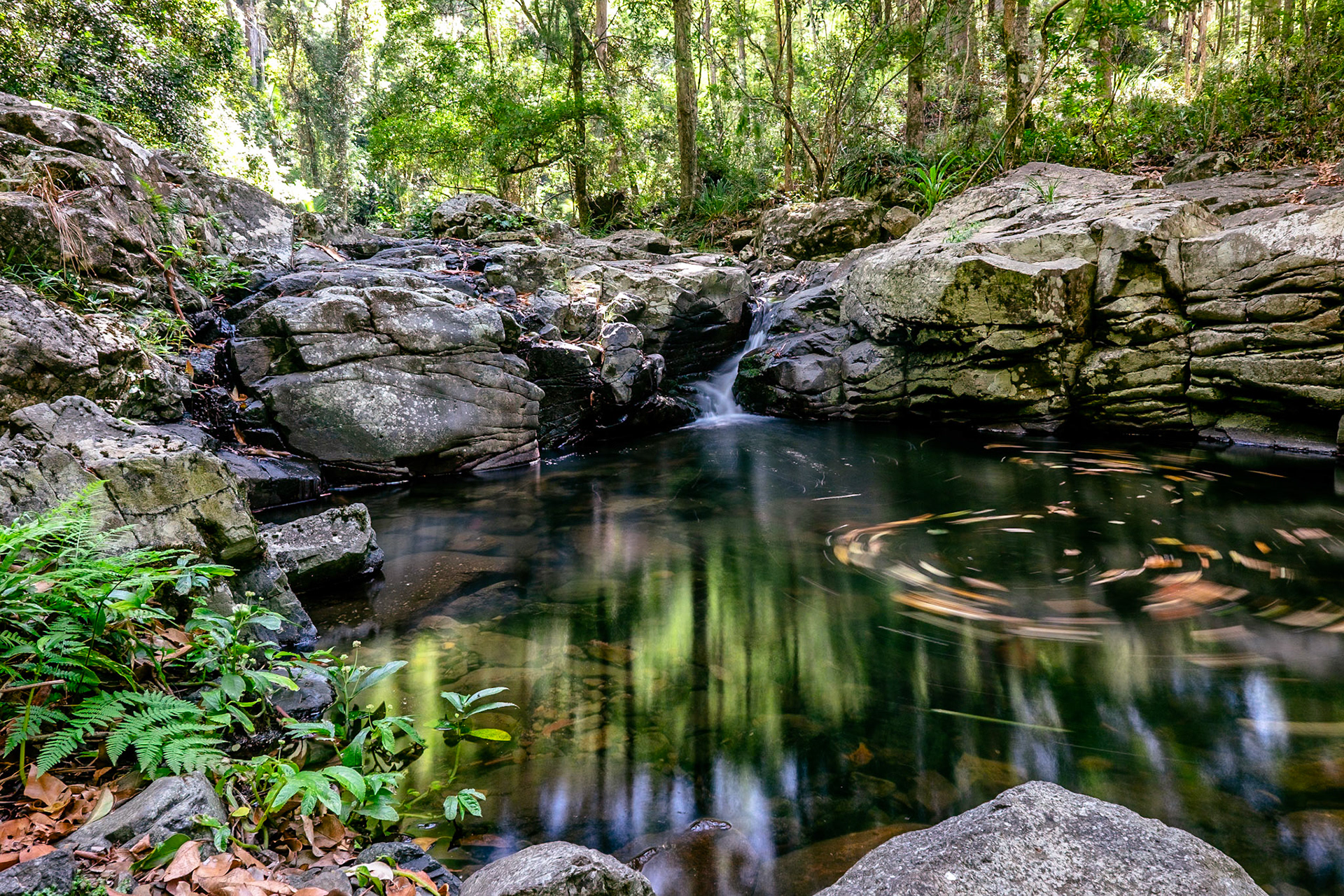 Cascade Circuit QLD