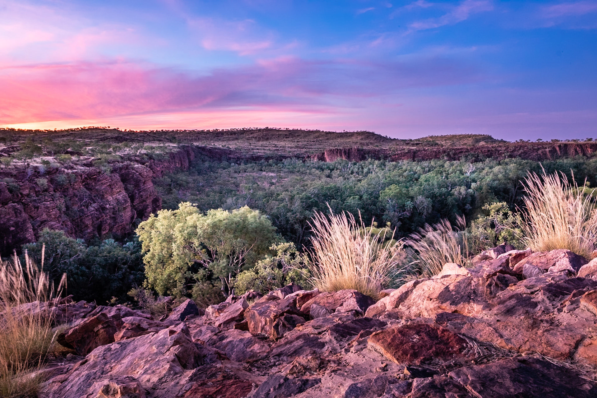 Lawn Hill Gorge Qld