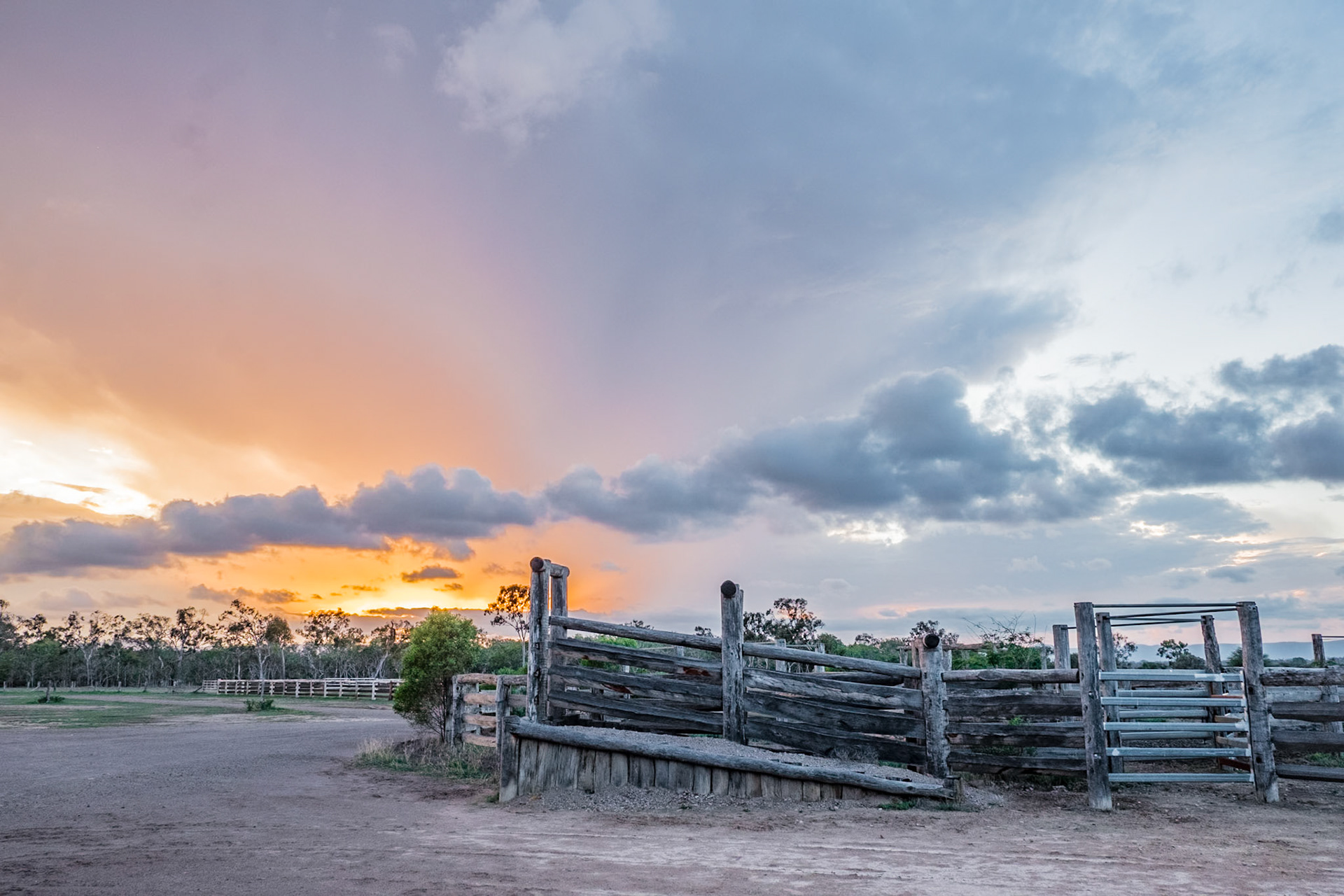 Cattle Ramp - Lawrence QLD