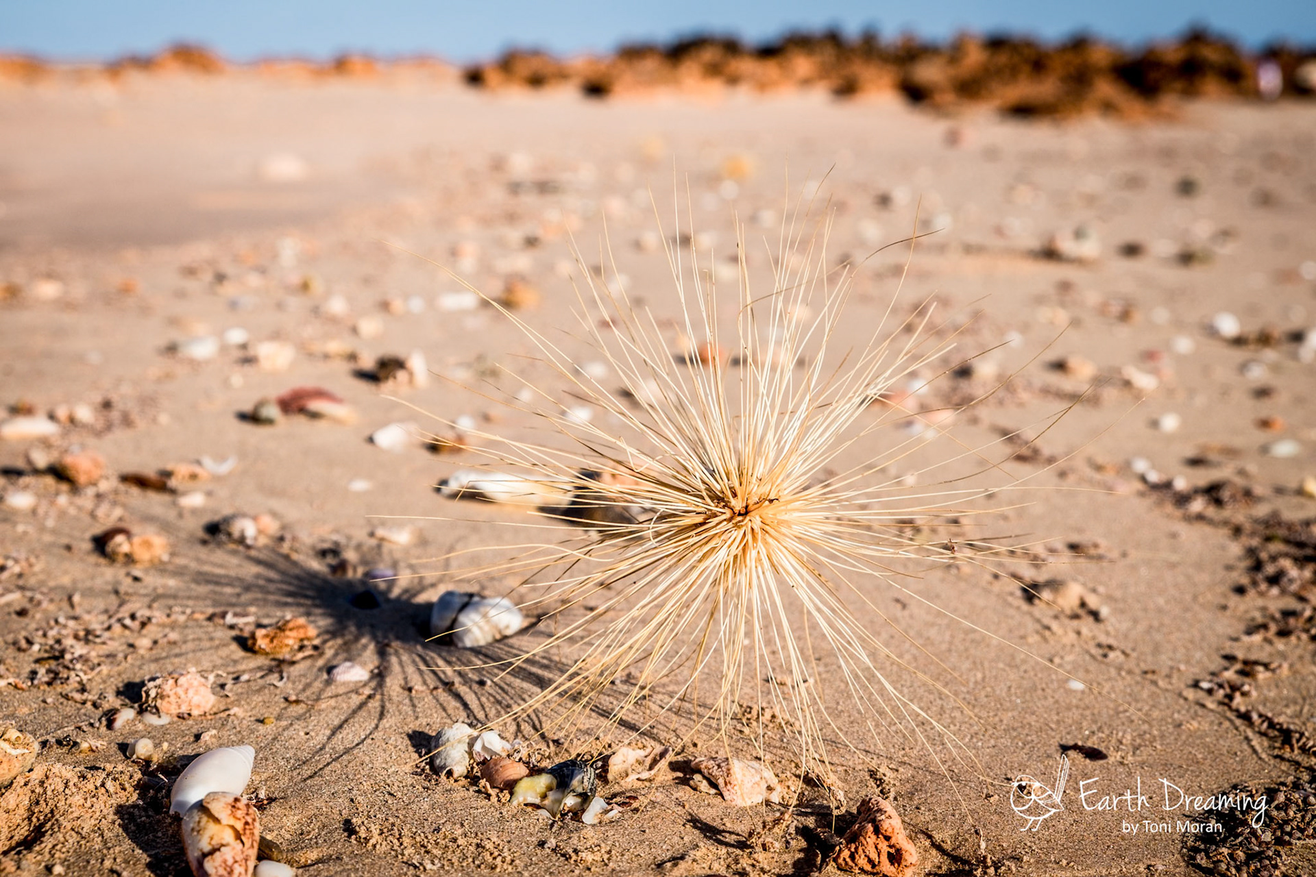 Dampier Peninsula NT