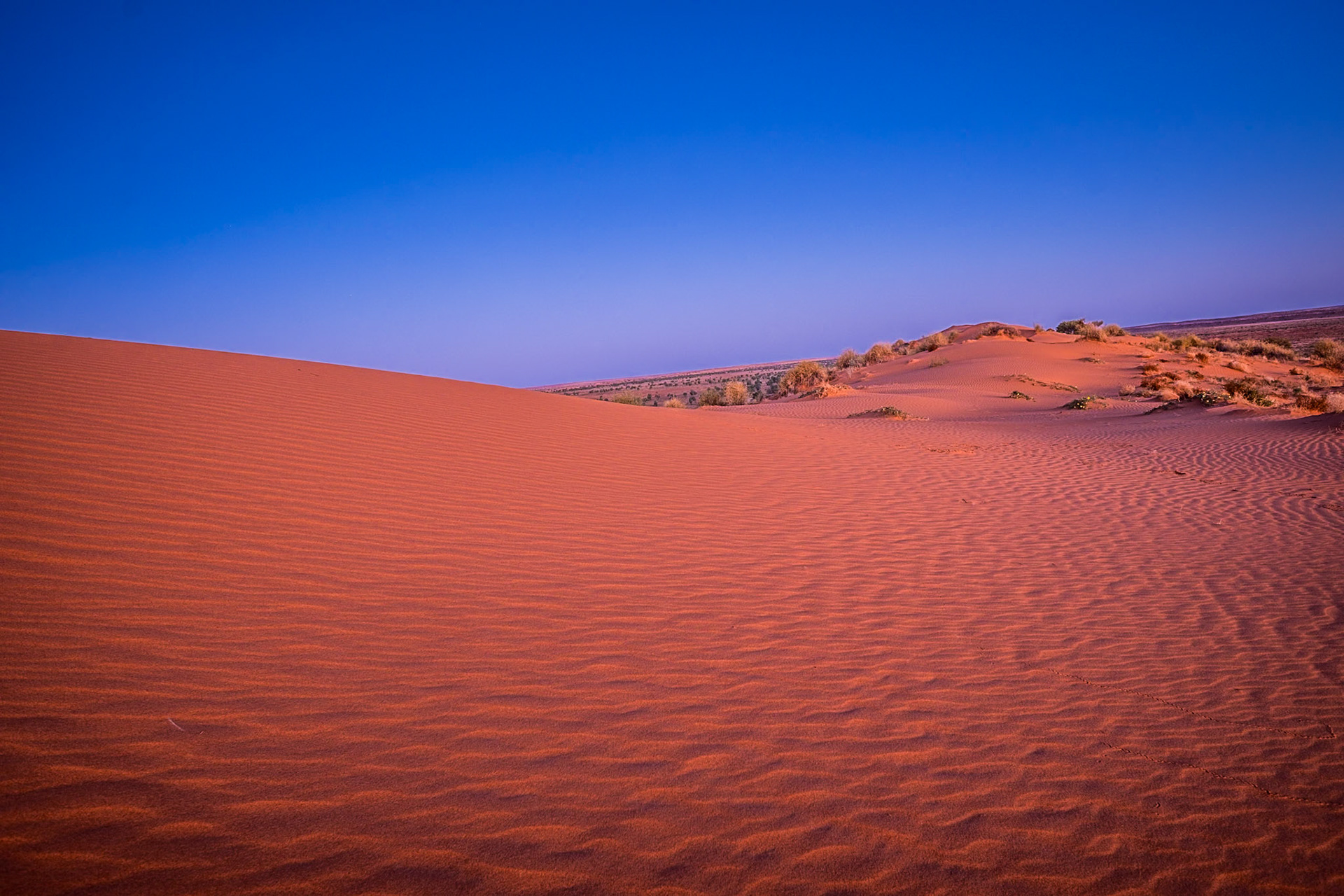 BIg Red Sand Dune 1