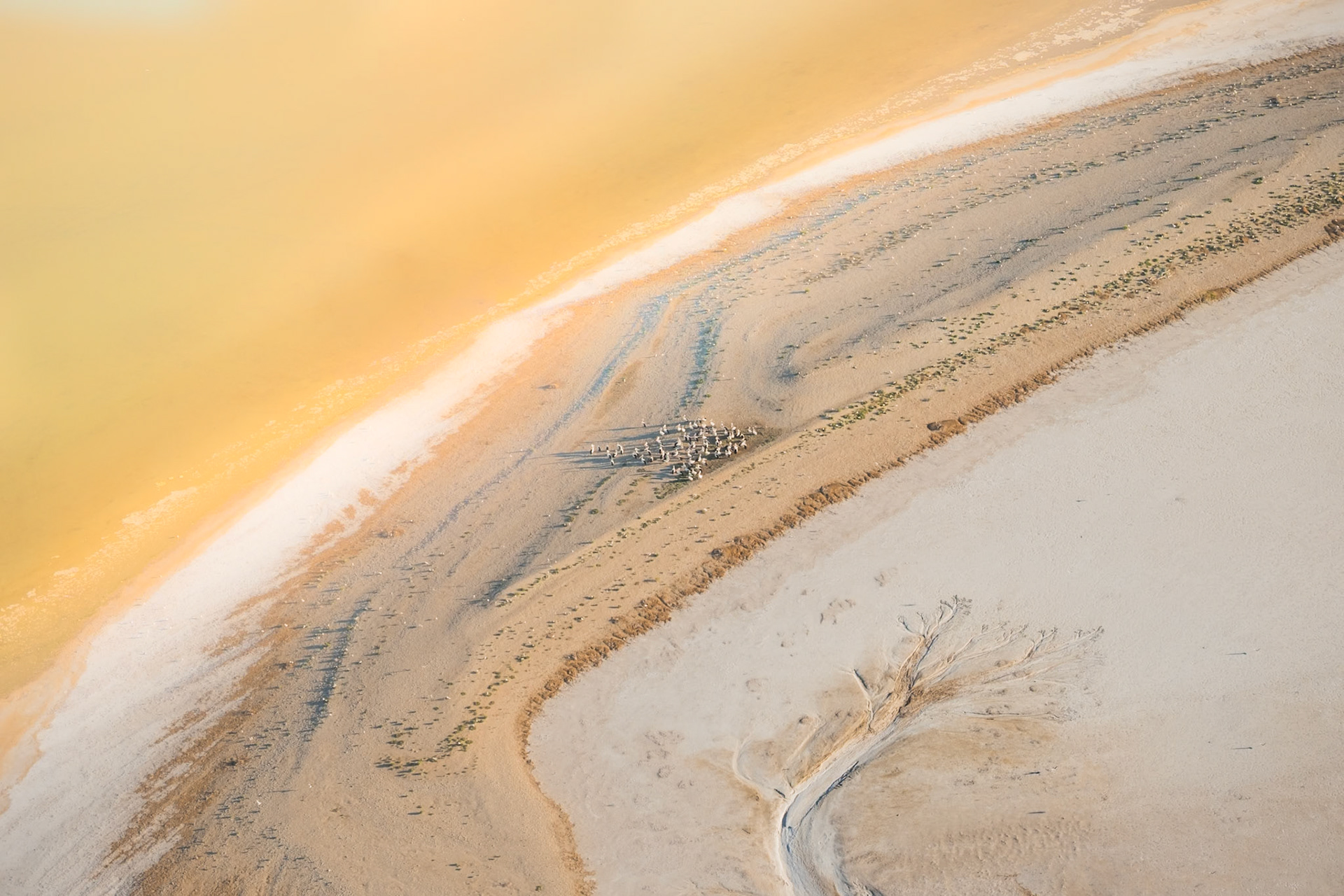 2016-04-02 Flight over Lake Eyre