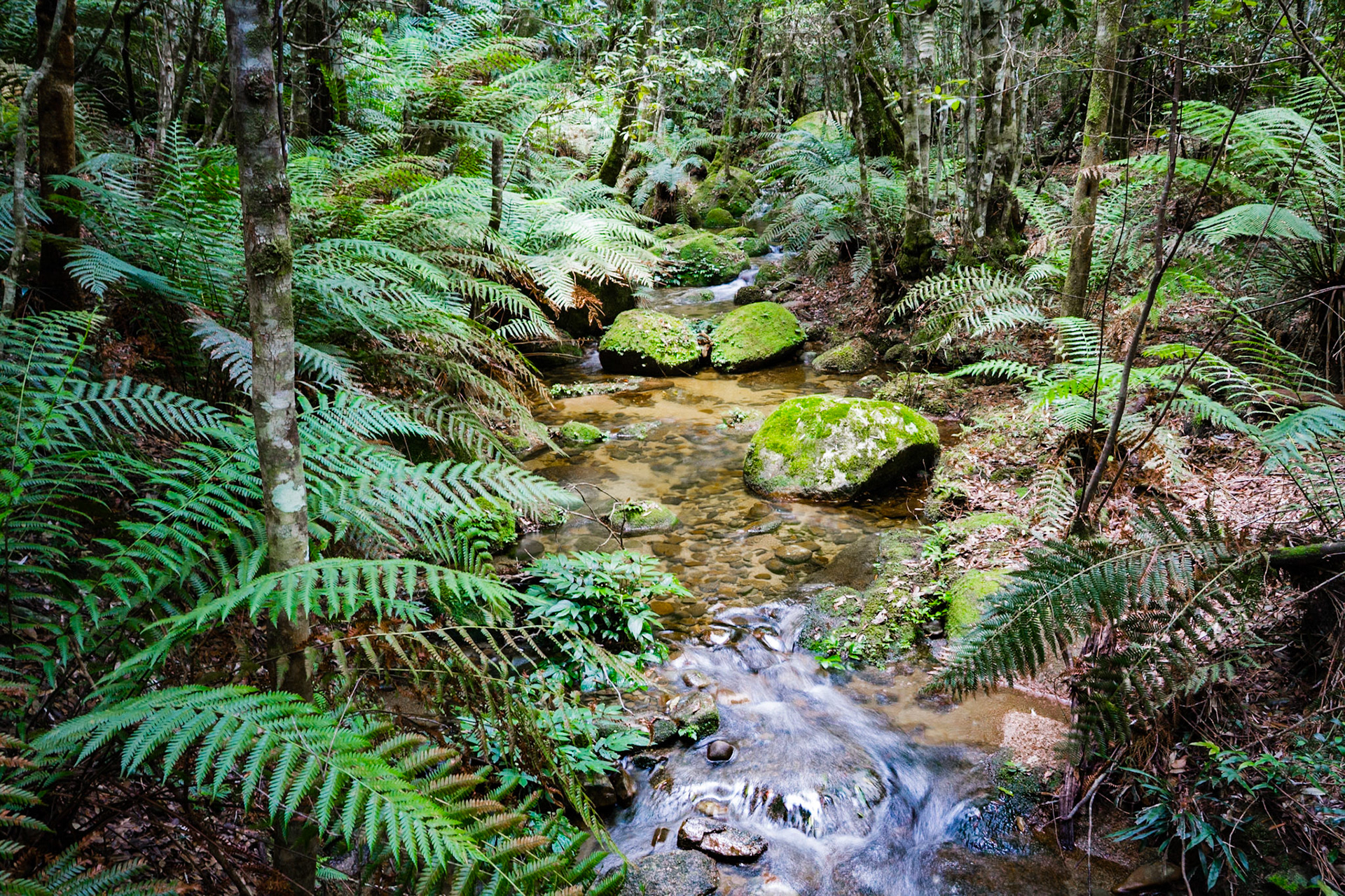 Gibraltar NP NSW