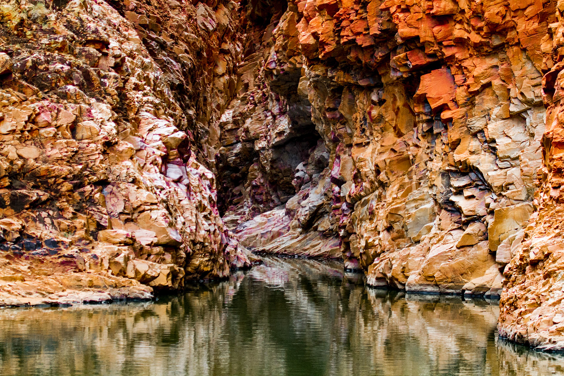 Redbank Gorge just before it flooded!
