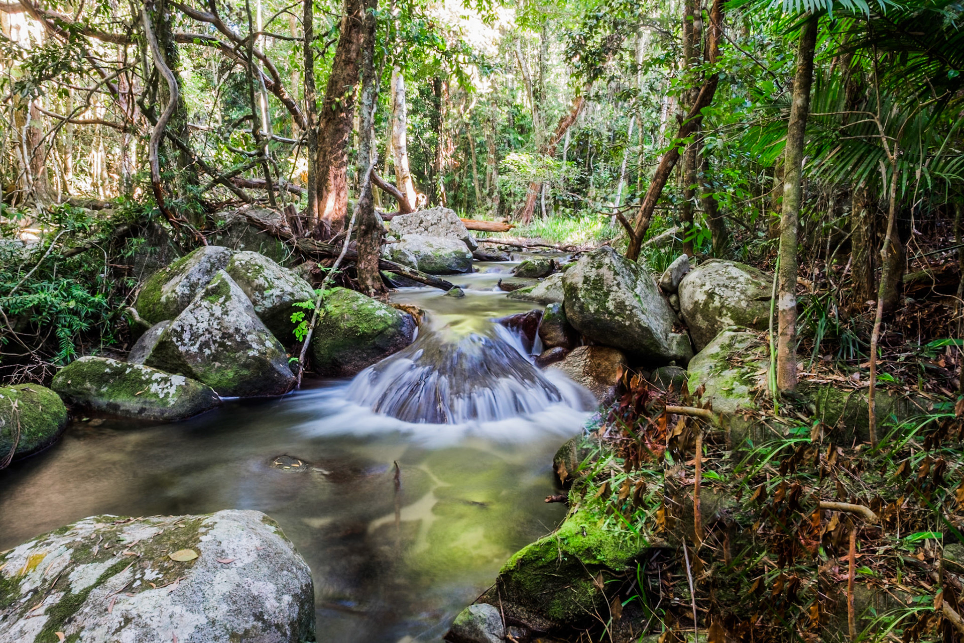 Rainforest Creek Julatten QLD