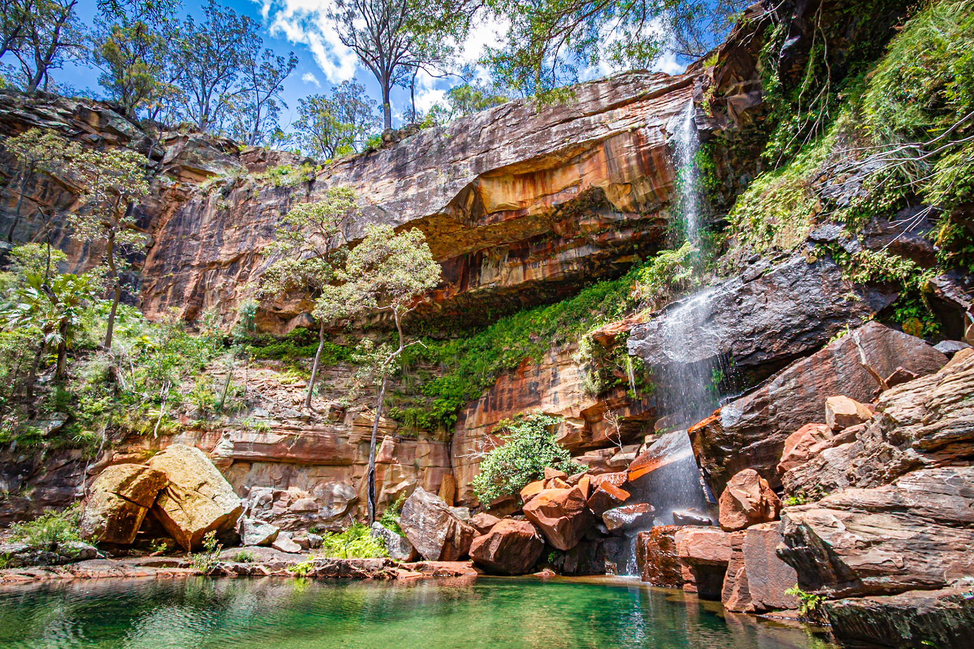 Capricorn - Blackdown Tablelands QLD
