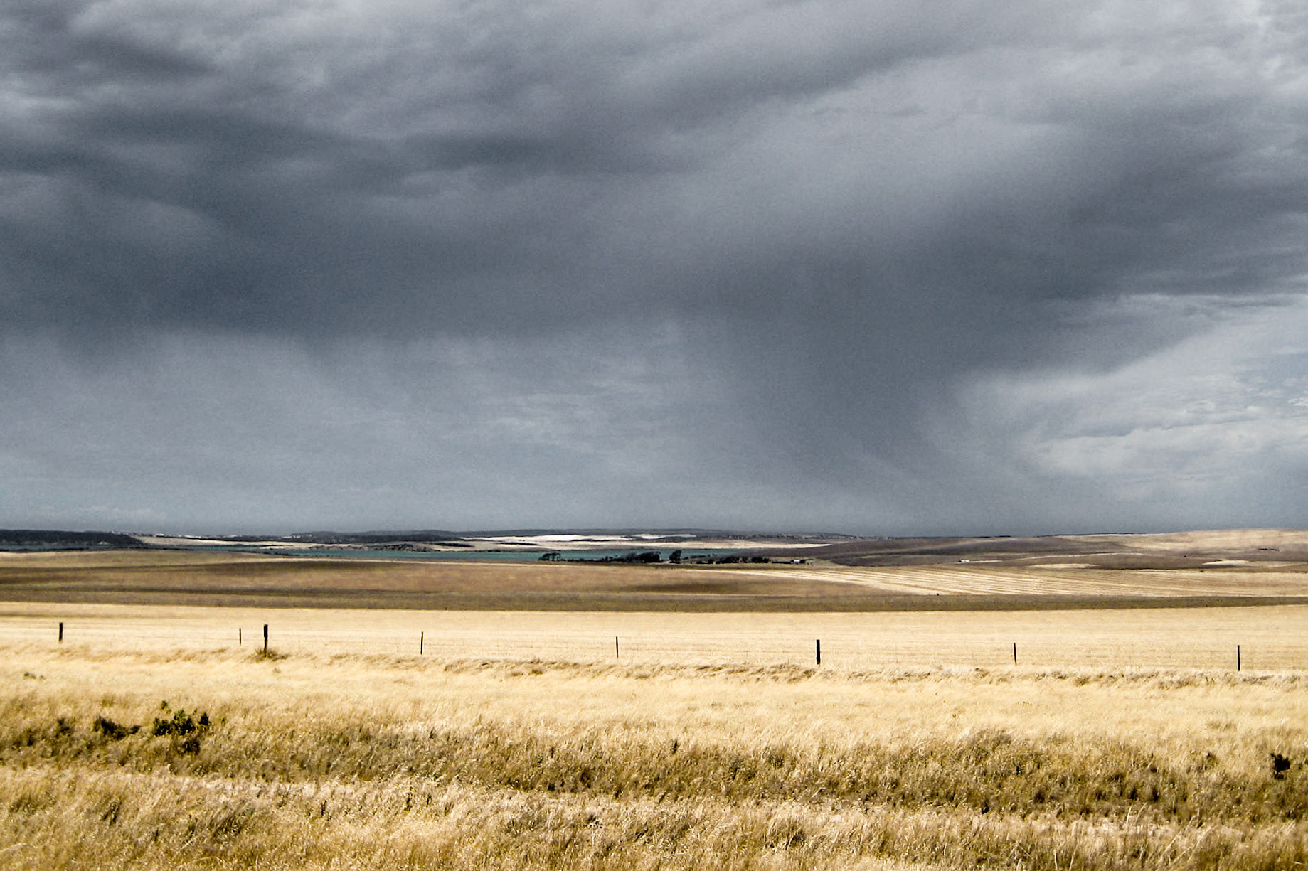 Clouds over Wheat Field near Baird Bay SA