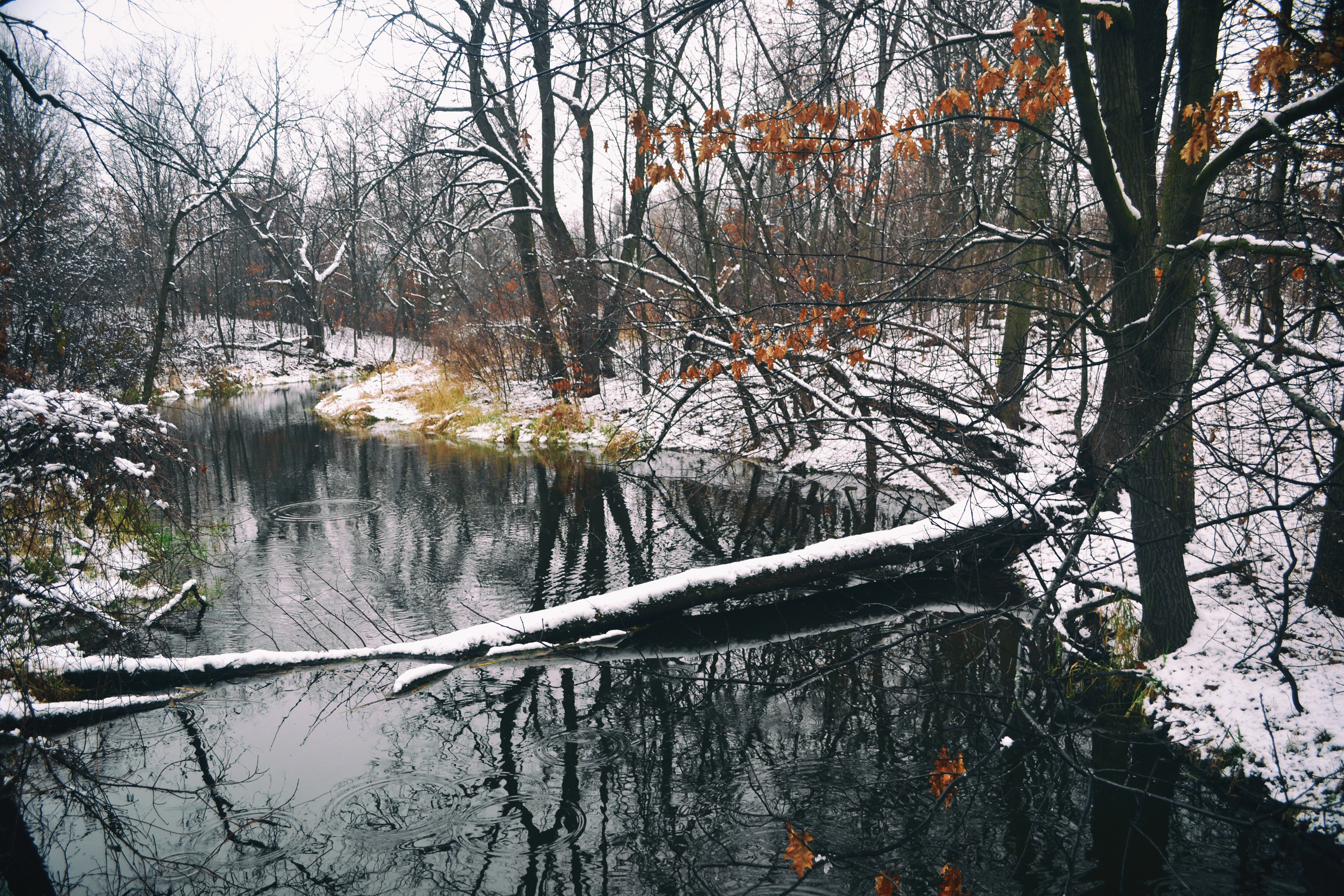 Cleary Lake. Prior Lake, MN.