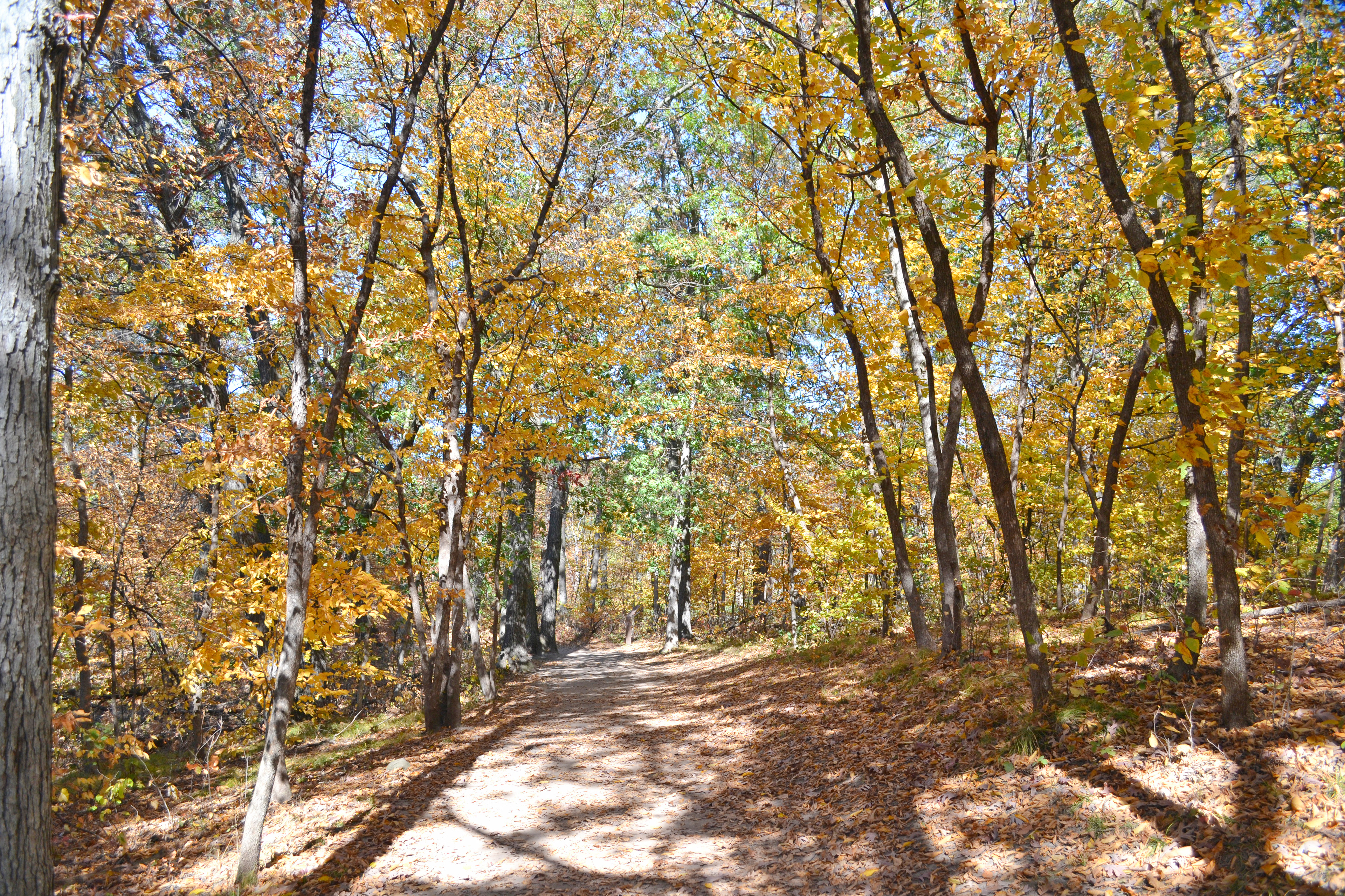 Lebanon Hills Regional Park