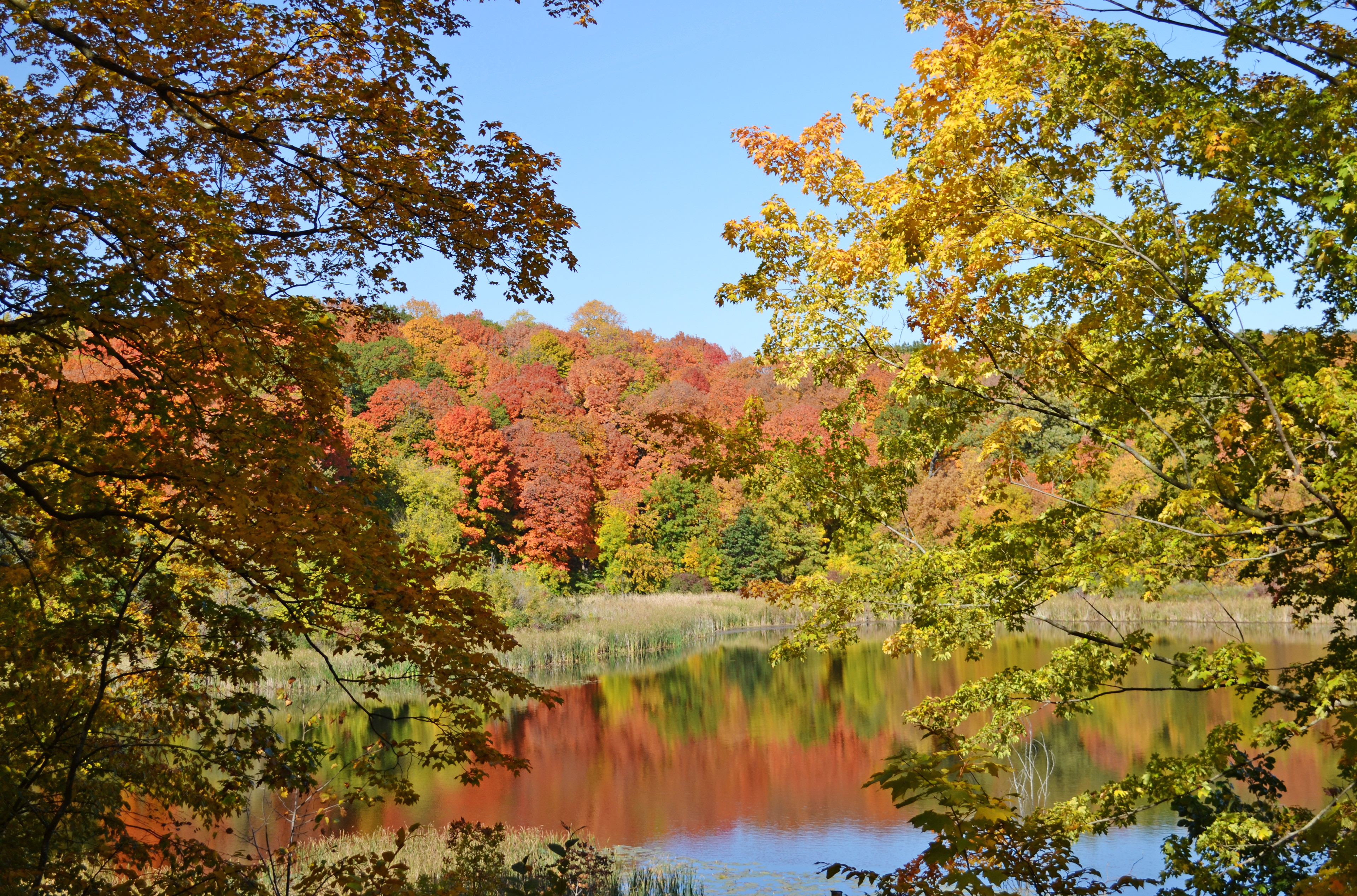 Minnesota Landscape Arboretum