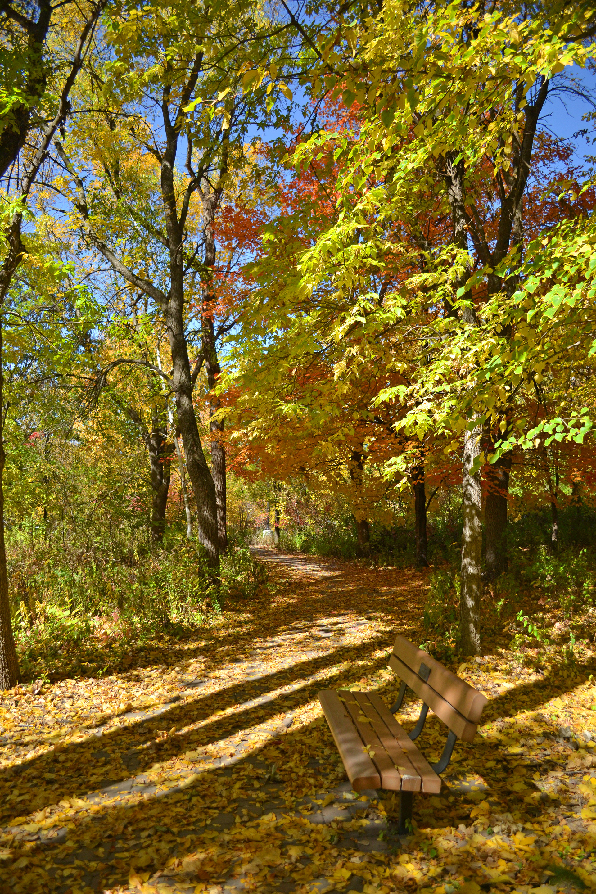 Hyland Lake Park Reserve