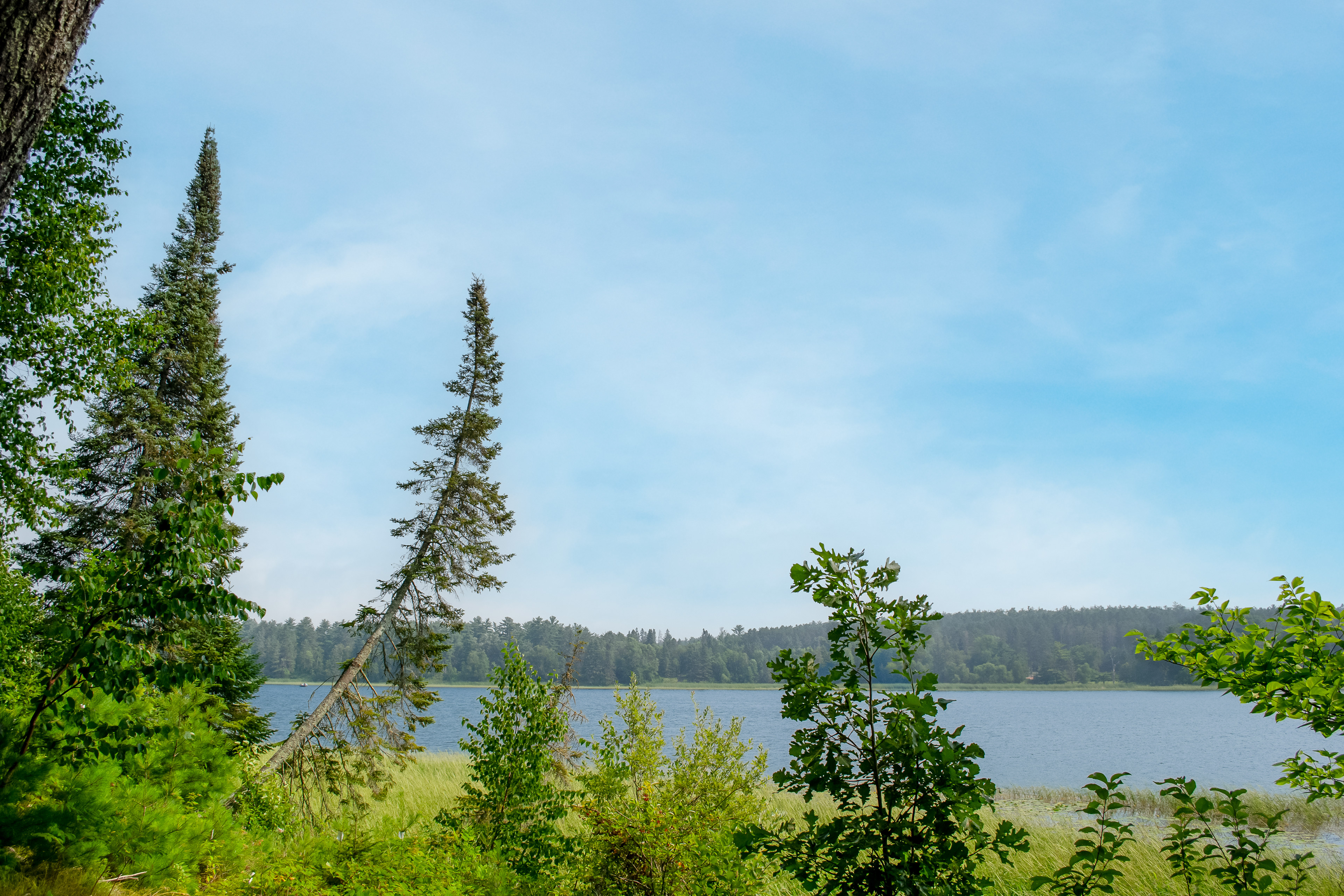 Lake Itasca.
