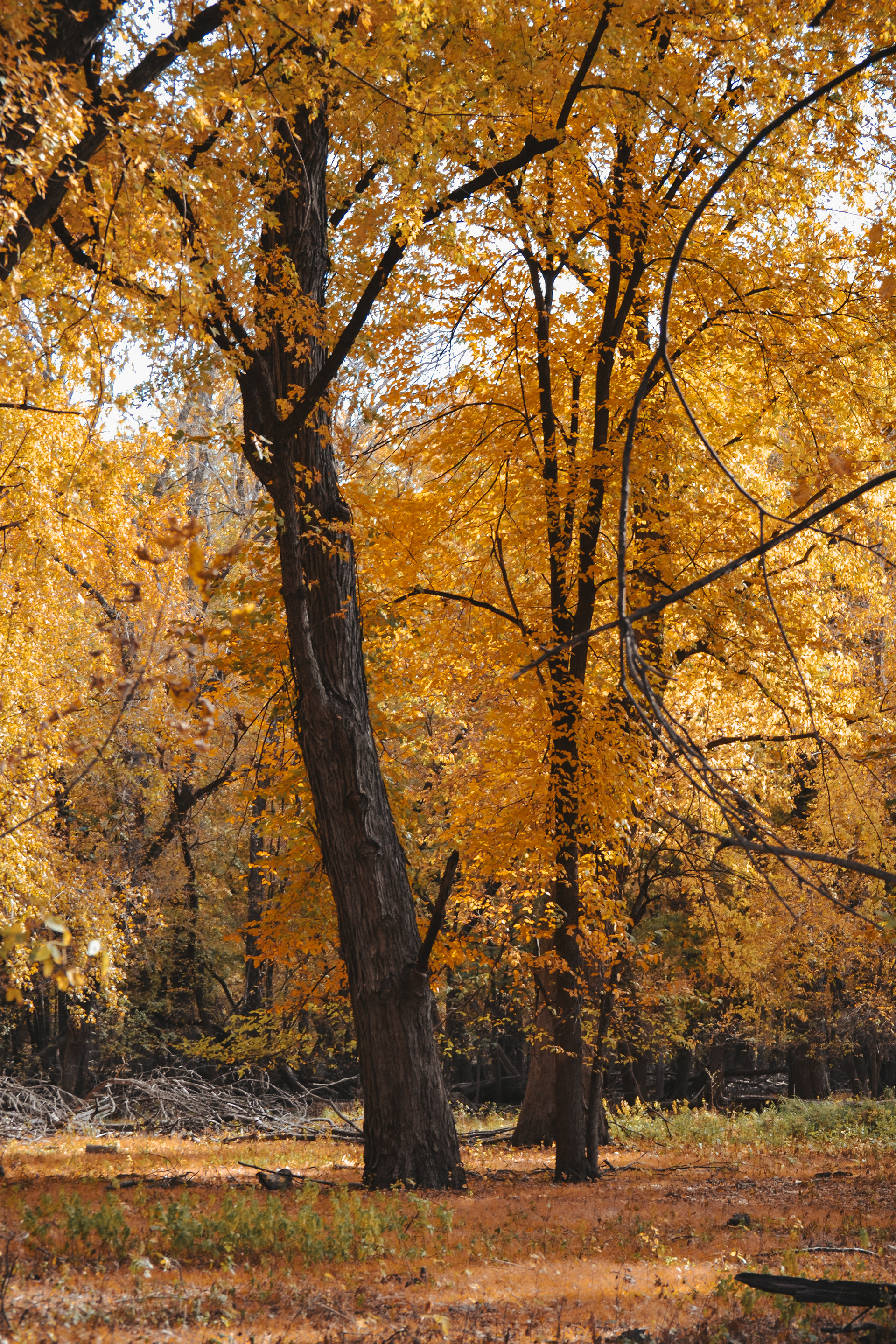 Fort Snelling State Park. (2024).