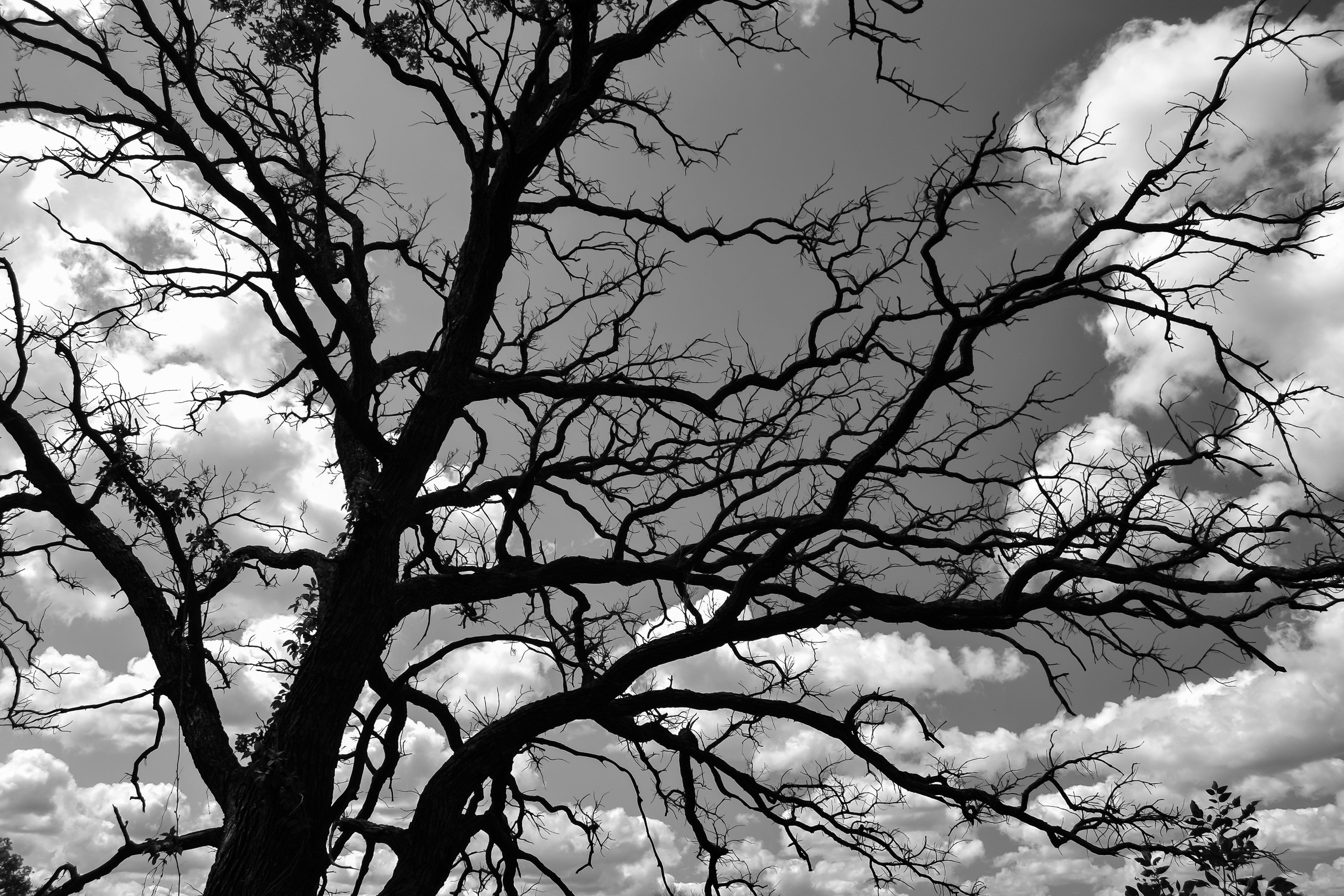 Doyle-Kennefick Regional Park. 