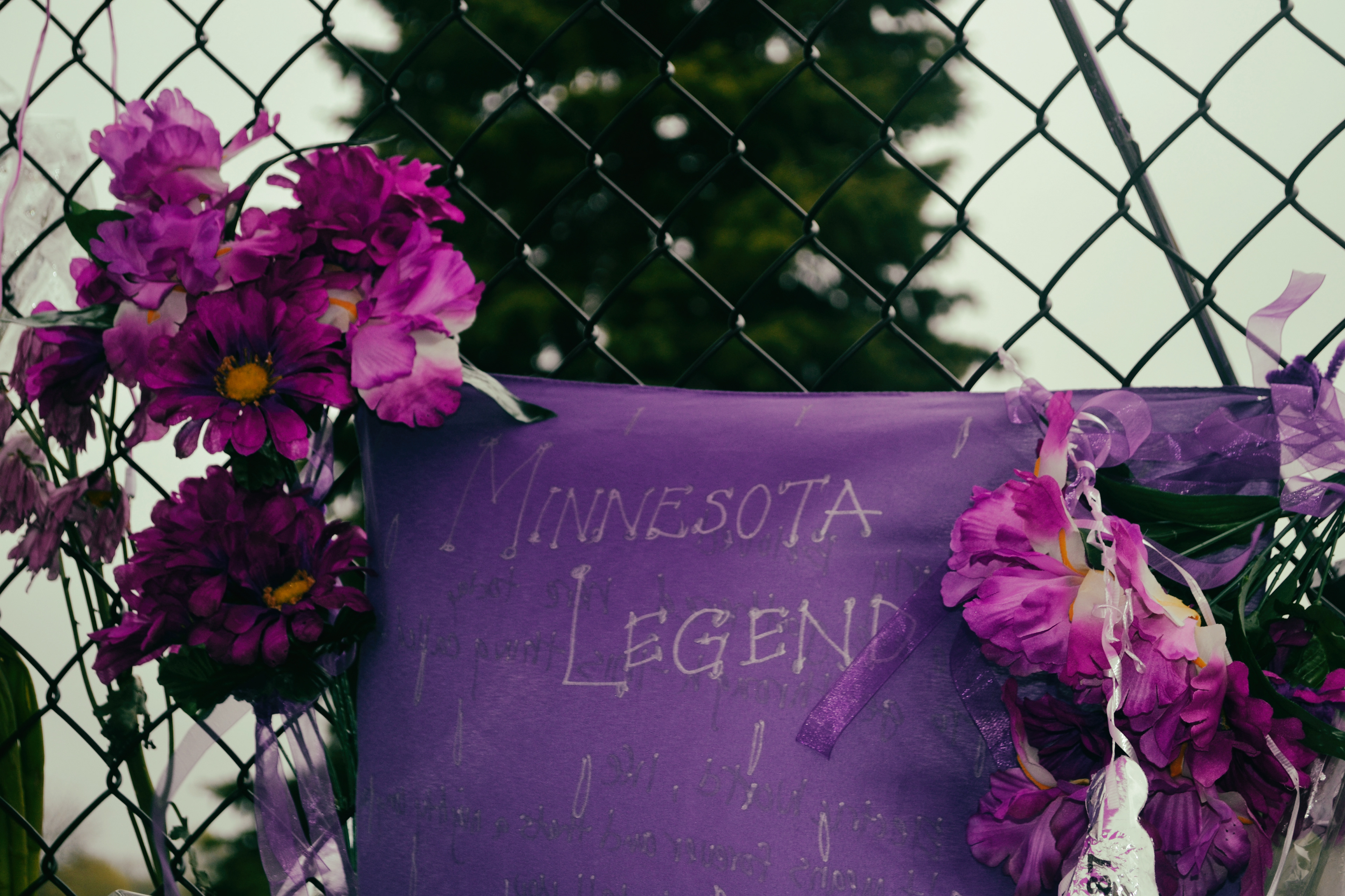 Paisley Park, Prince Memorial. 4/26/2016