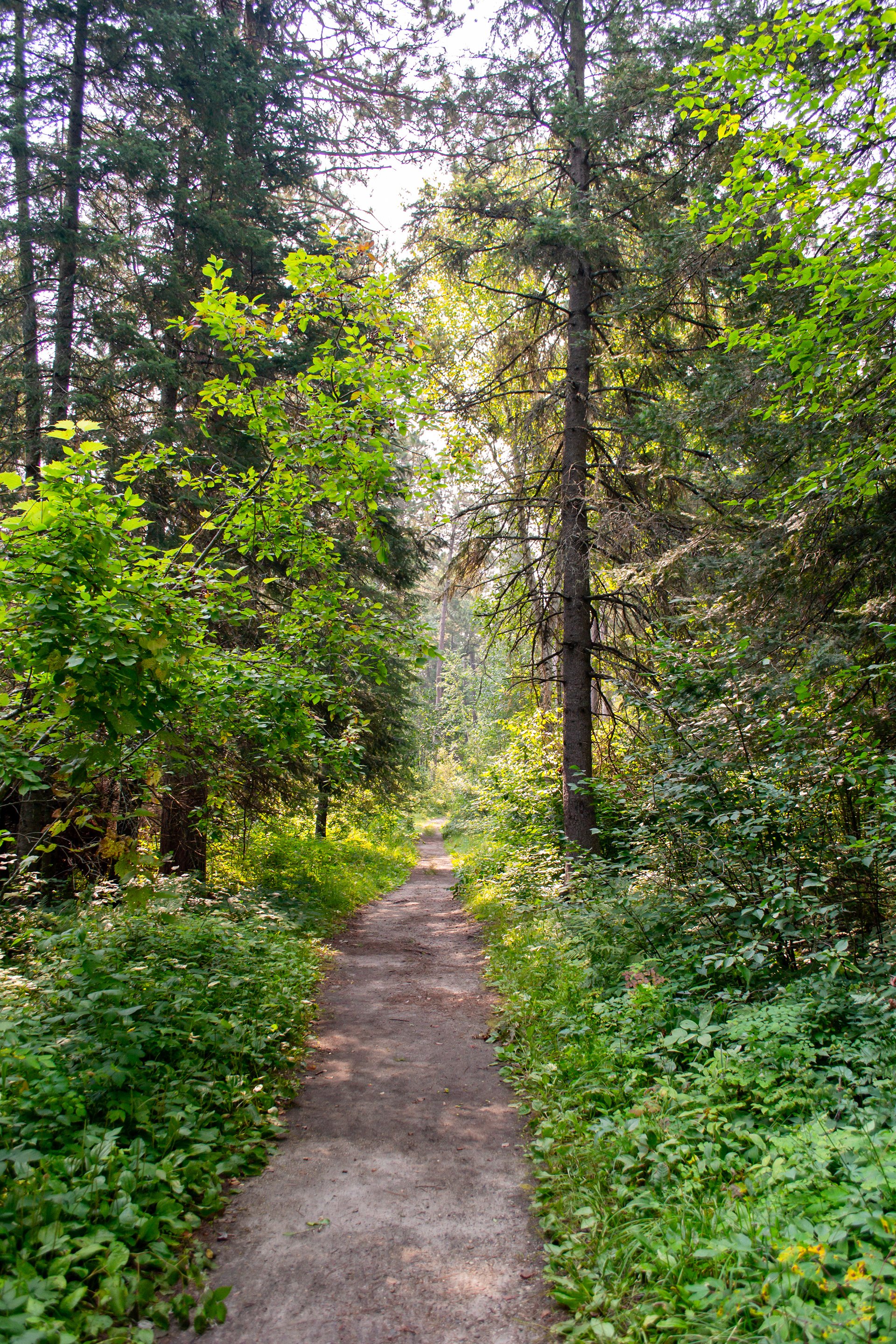 Itasca State Park.