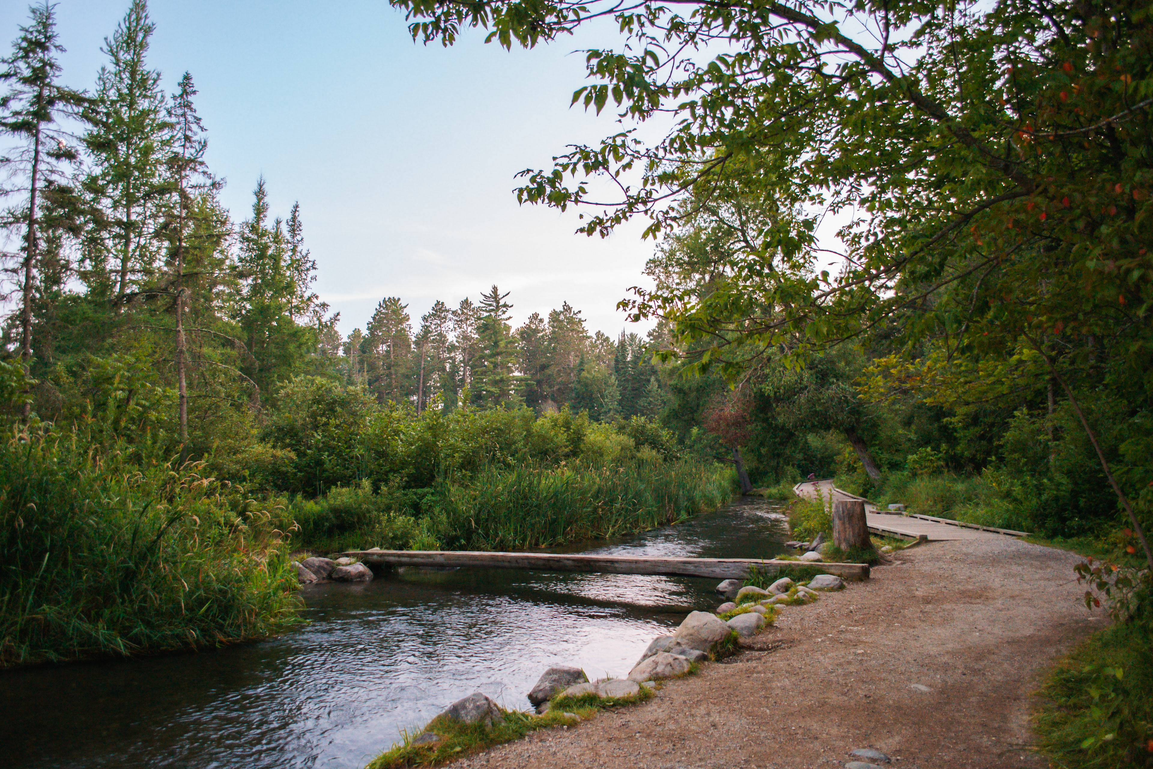 Mississippi River Headwaters in Itasca State Park.