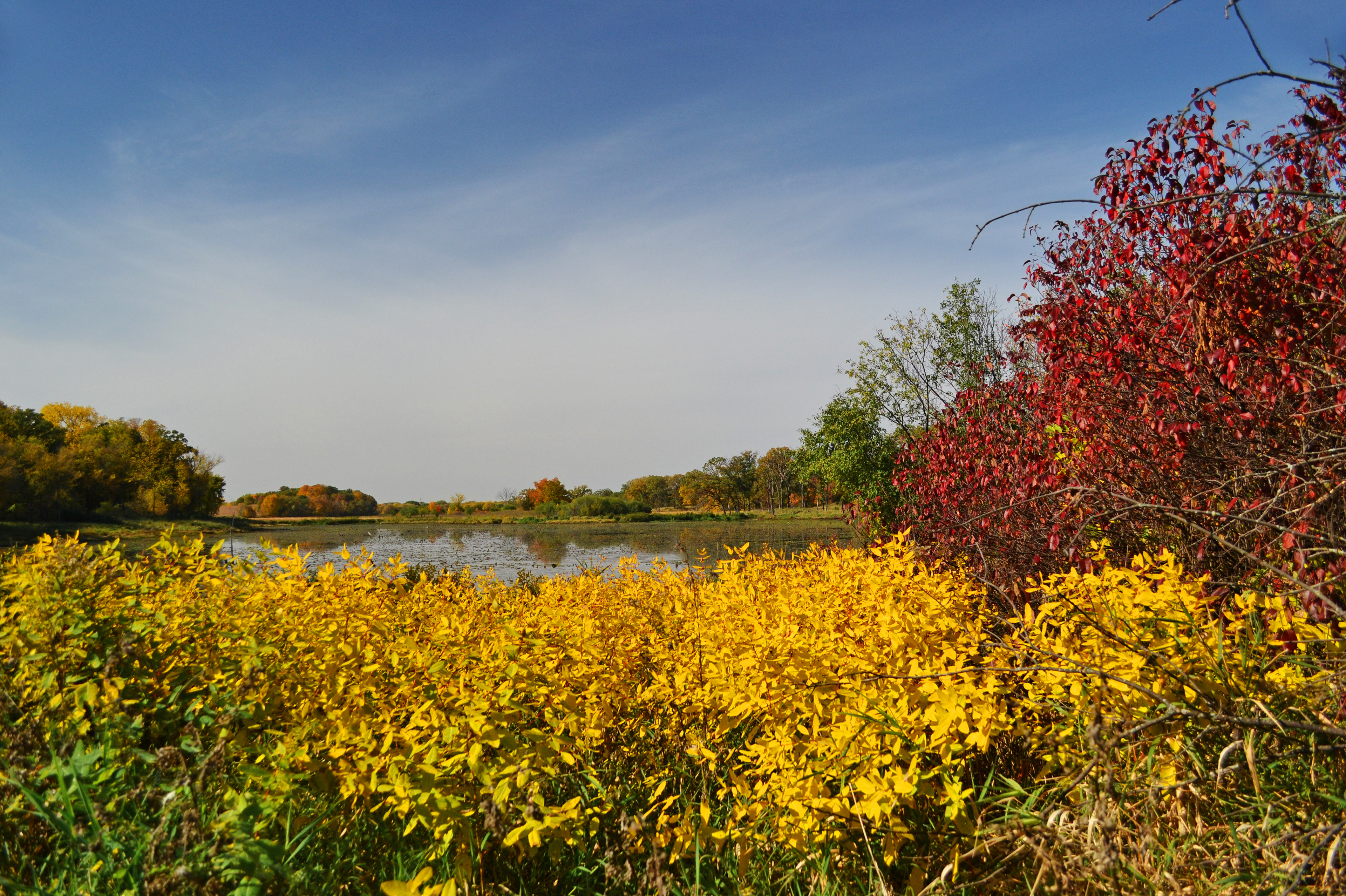 Murphy-Hanrehan Park Reserve
