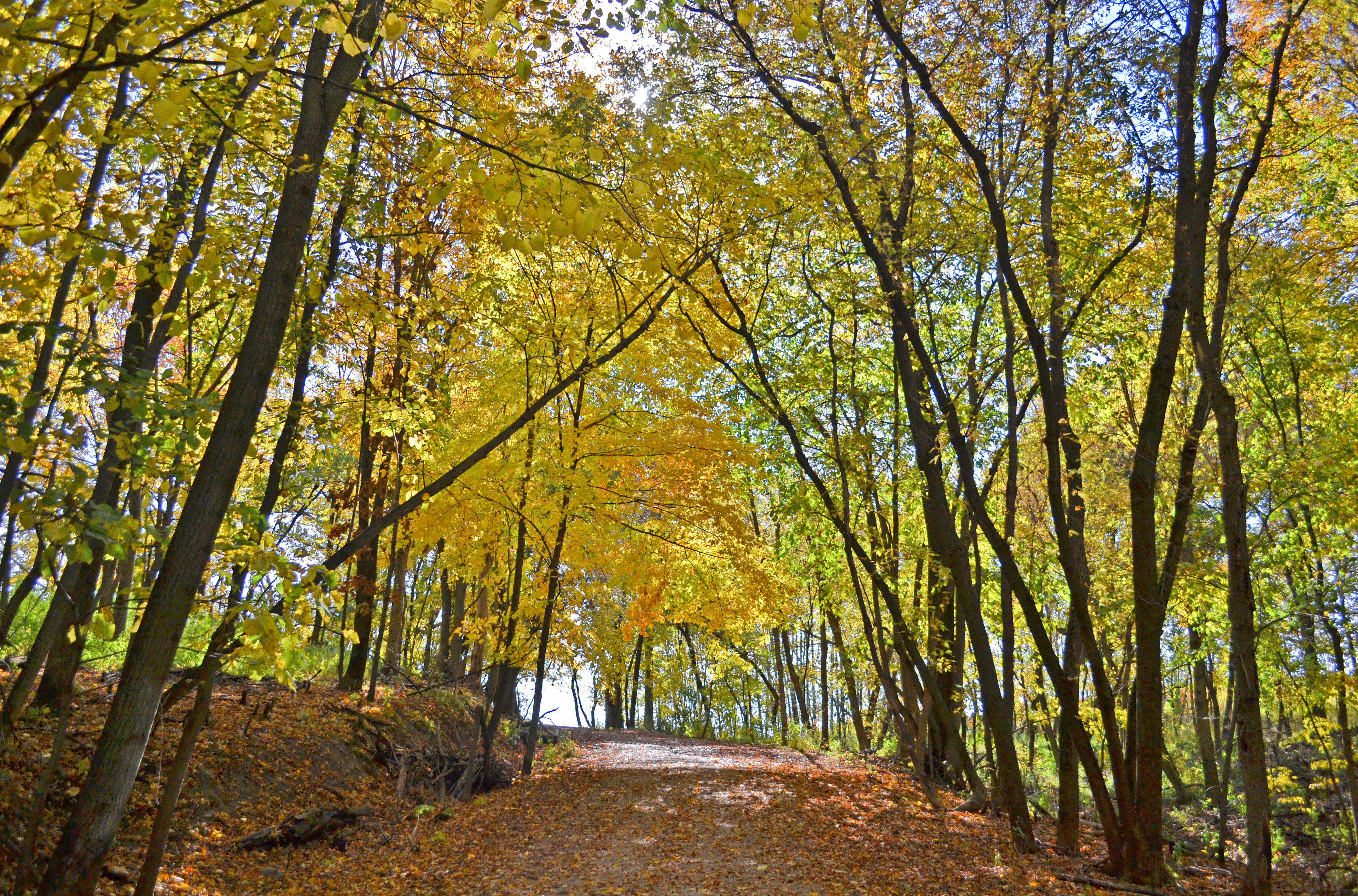 Murphy-Hanrehan Park Reserve