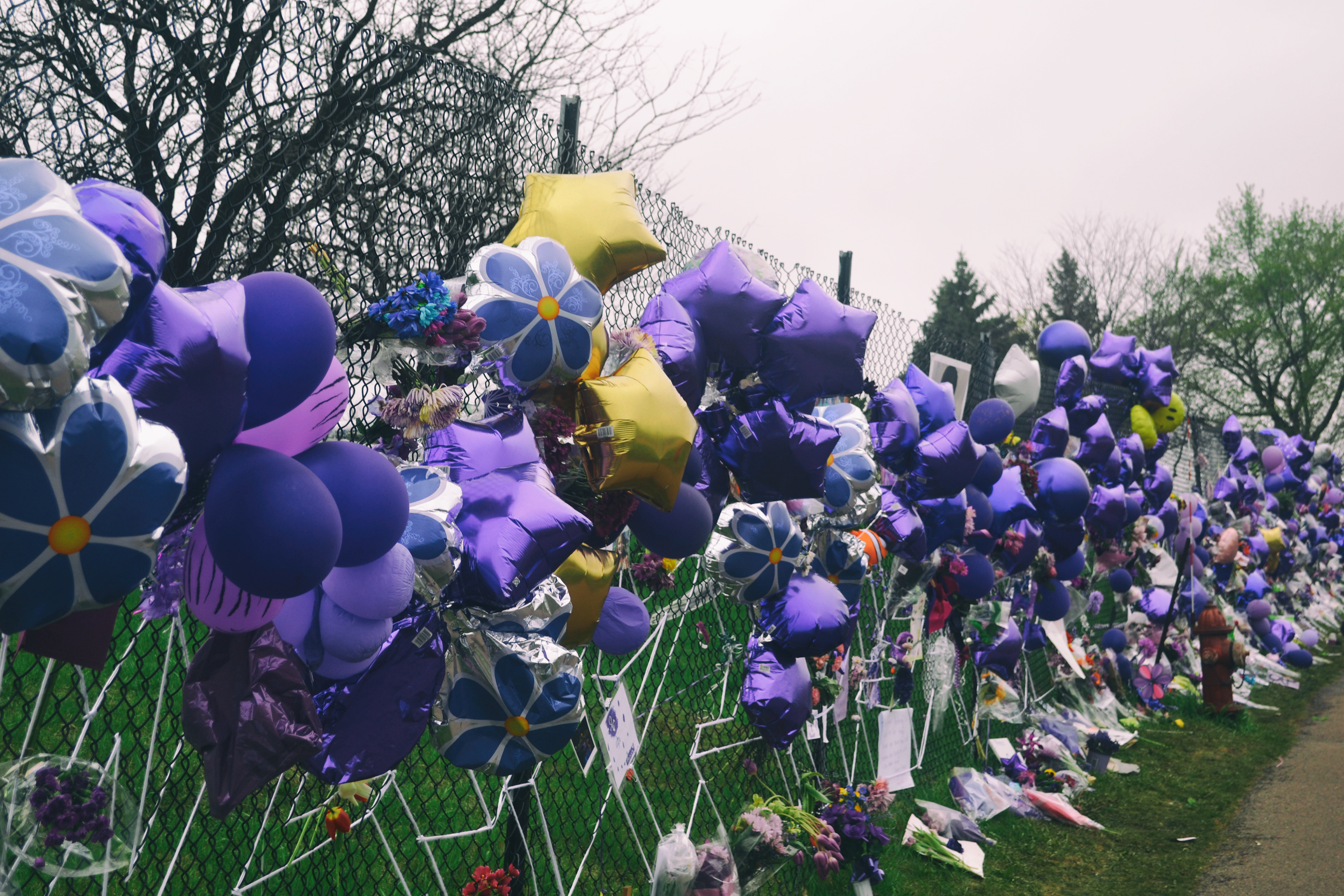 Paisley Park, Prince Memorial. 4/26/2016