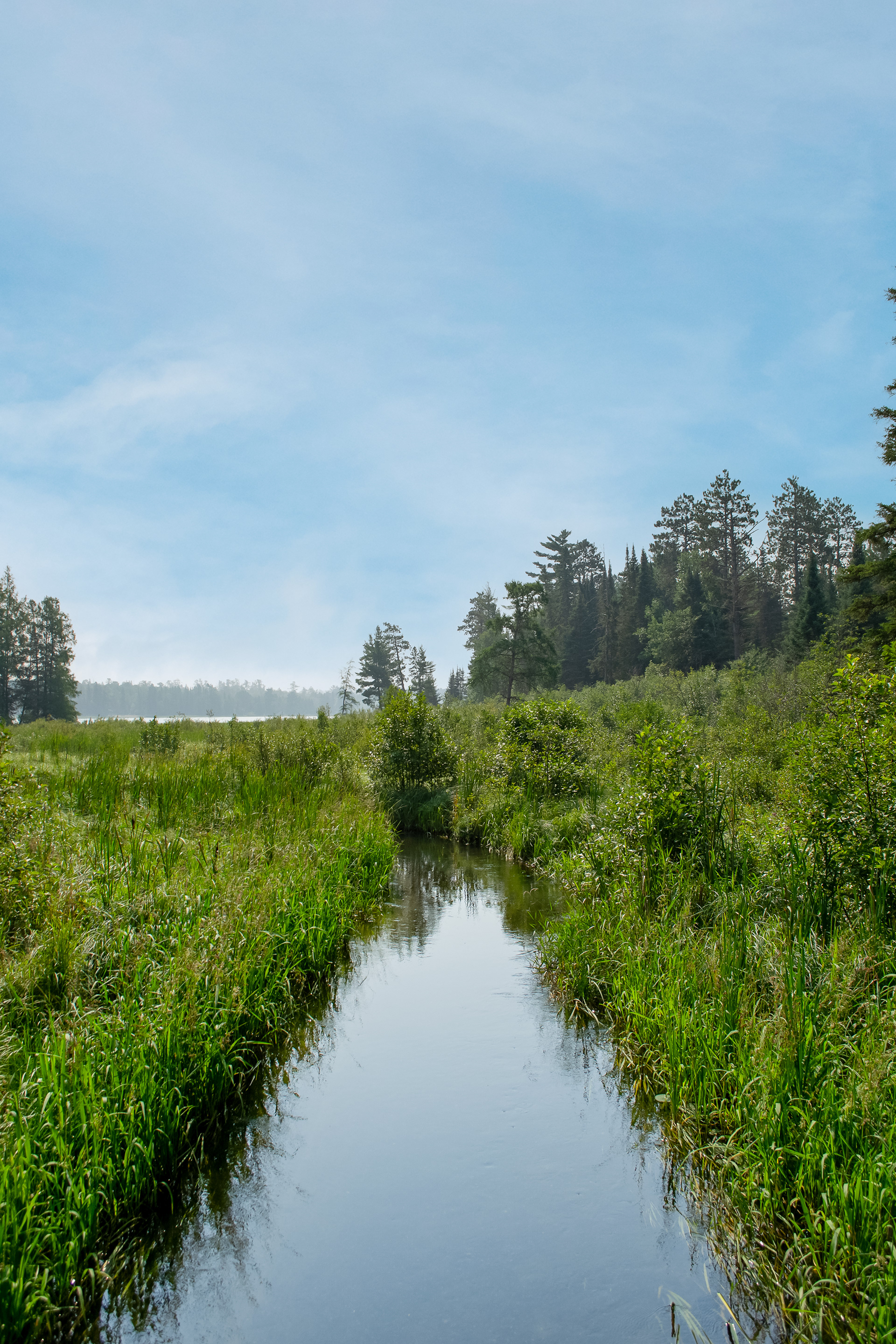 Mississippi River in Itasca State Park.