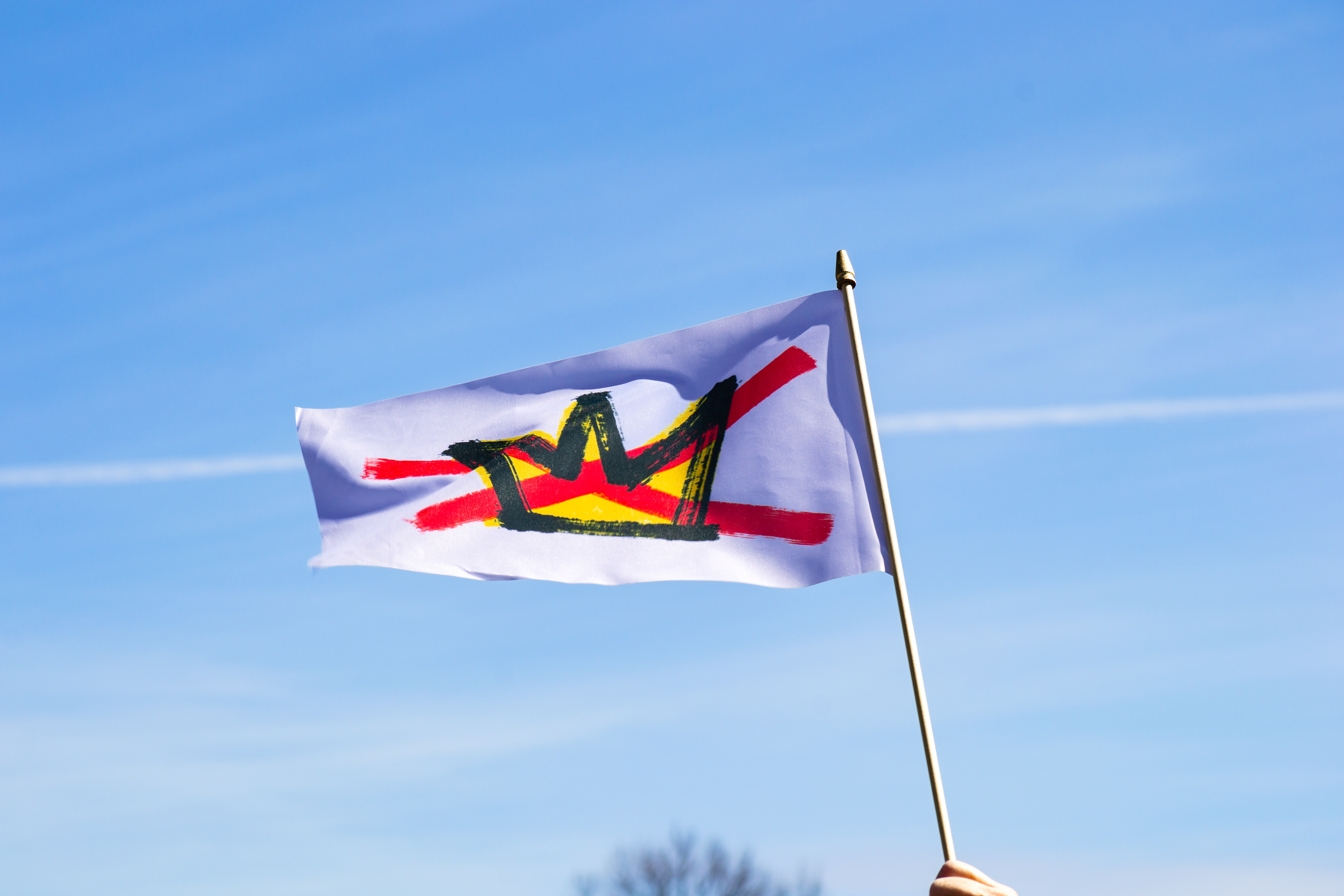 No Kings. St. Paul Minnesota.