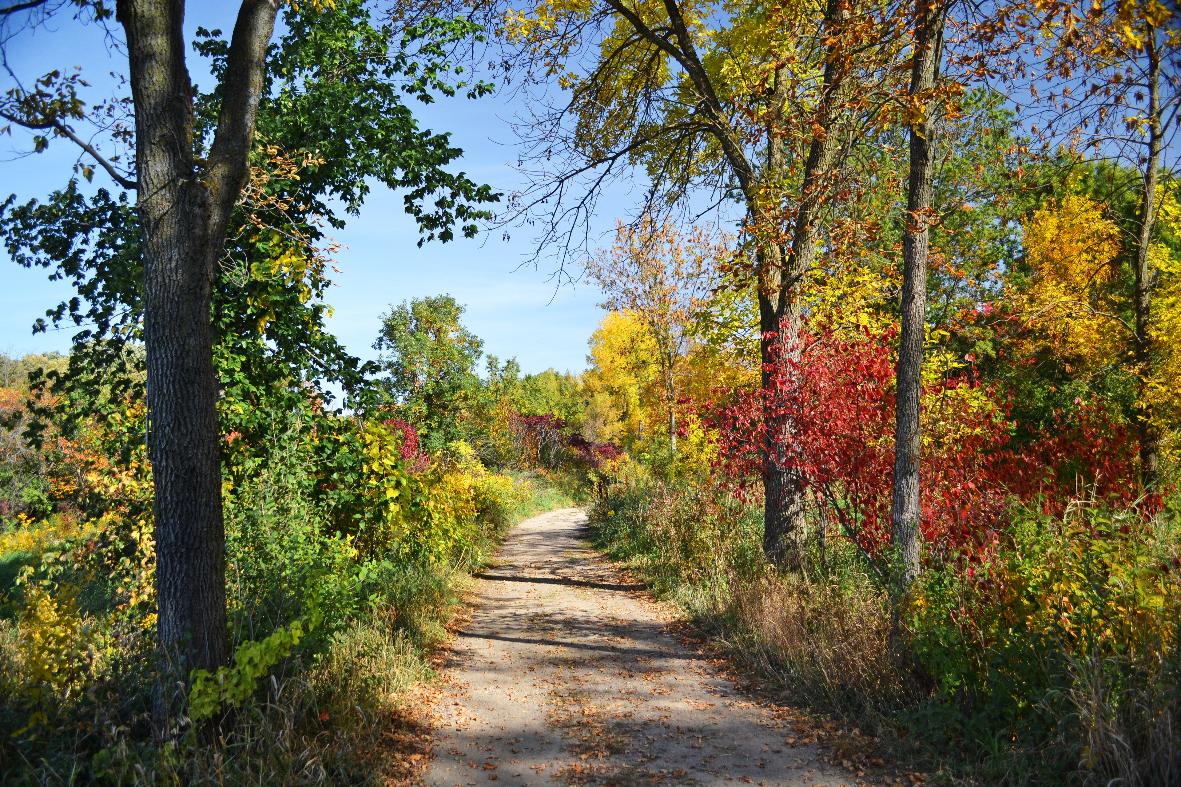 Murphy-Hanrehan Park Reserve