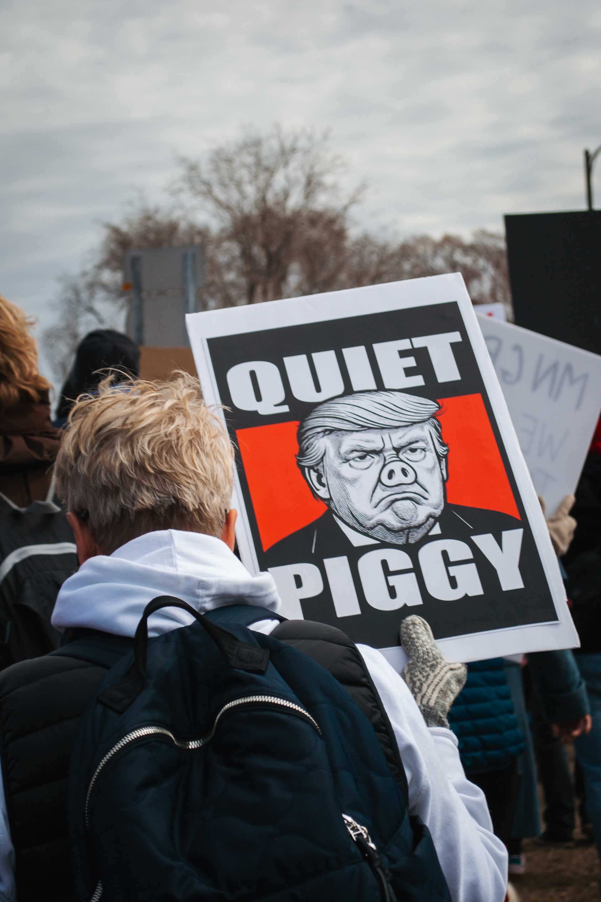 No Kings. St. Paul Minnesota.