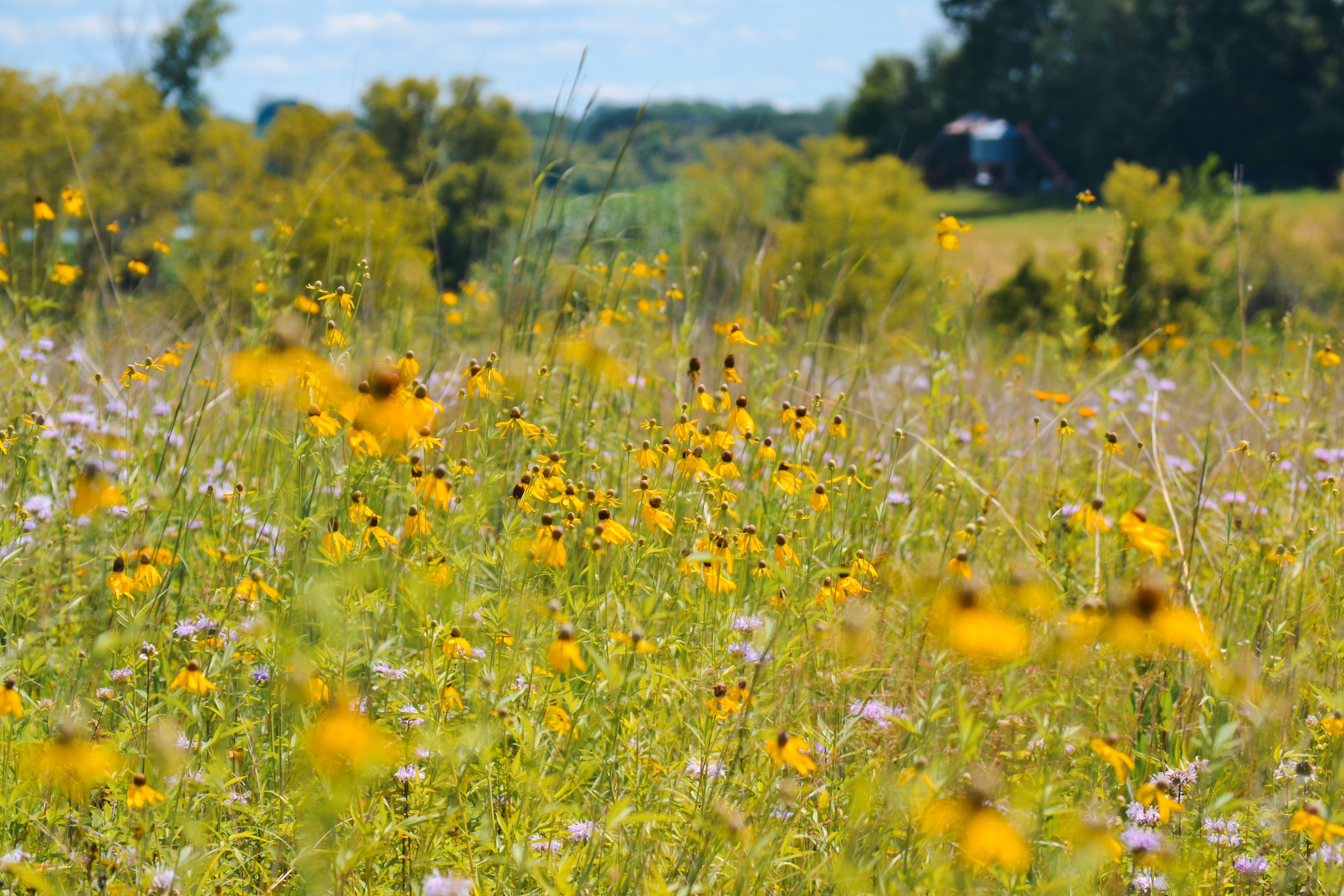 Doyle-Kennefick Regional Park