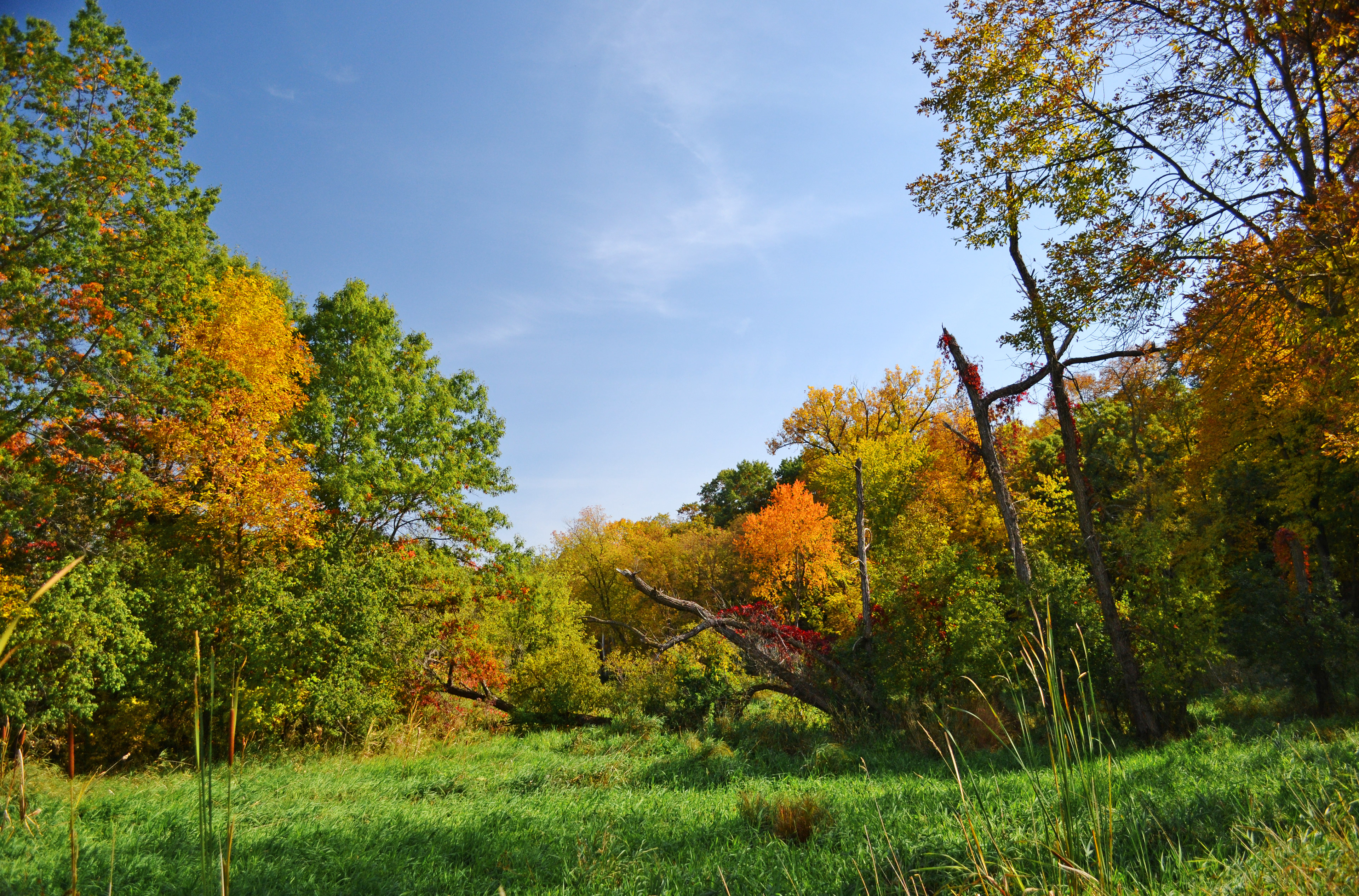 Murphy-Hanrehan Park Reserve
