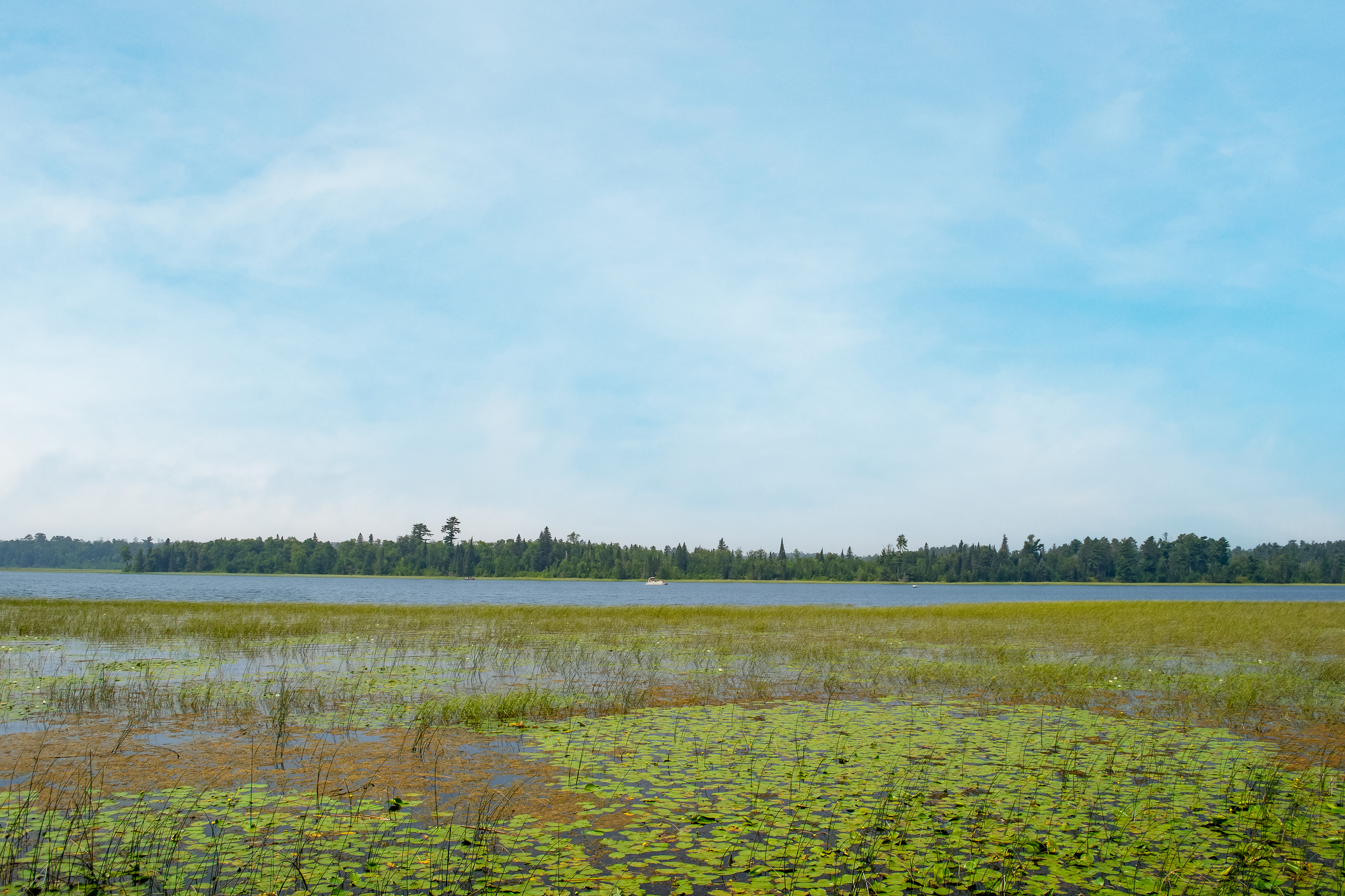 Lake Itasca.